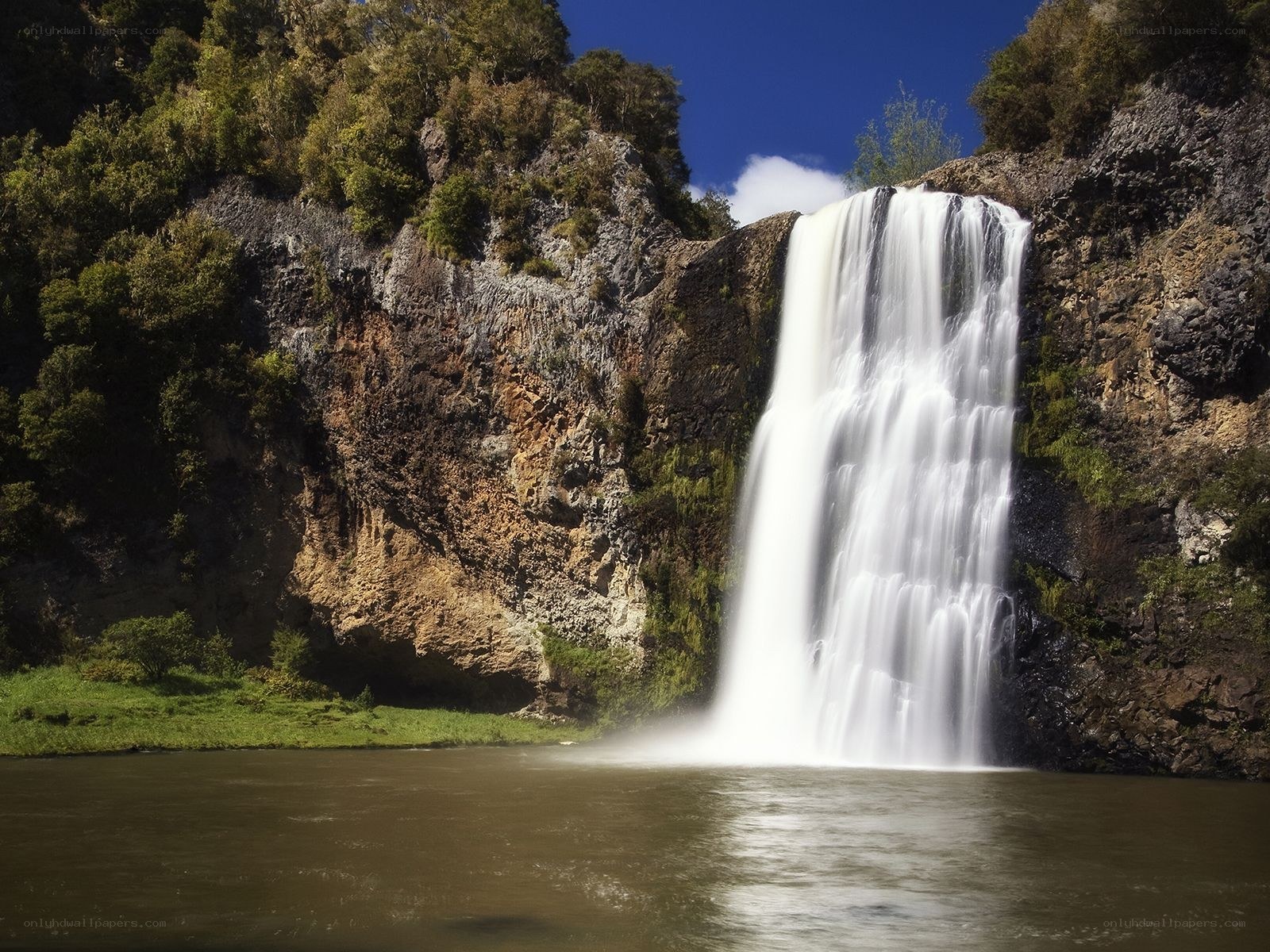 Waterfall in a forested canyon