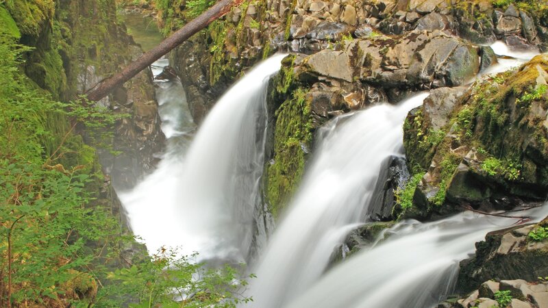 Waterfall in a forested canyon