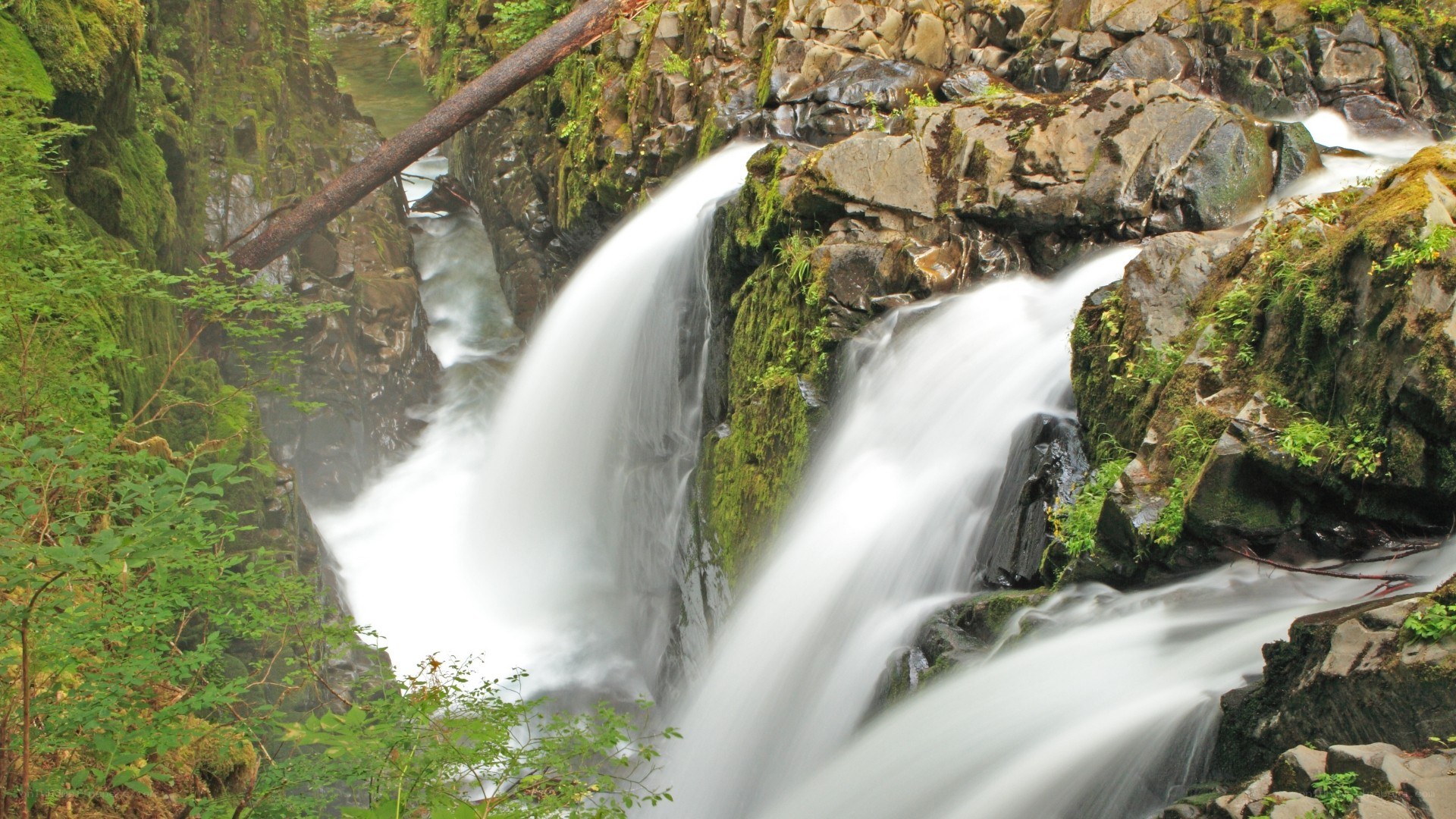 Waterfall in a forested canyon