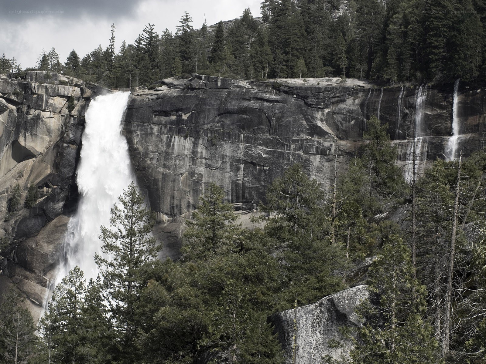 Waterfall in a forested canyon
