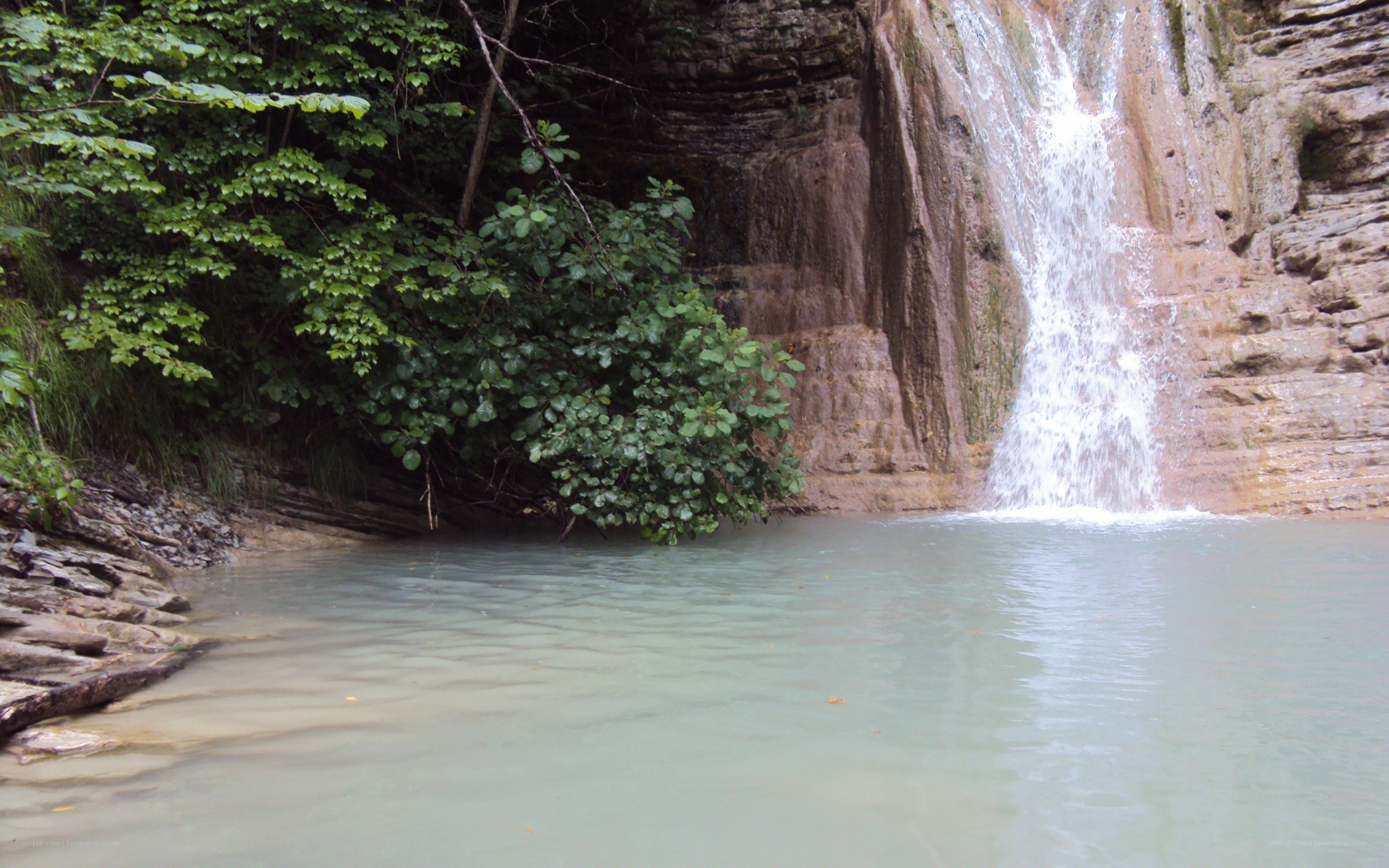 Waterfall in a forested canyon