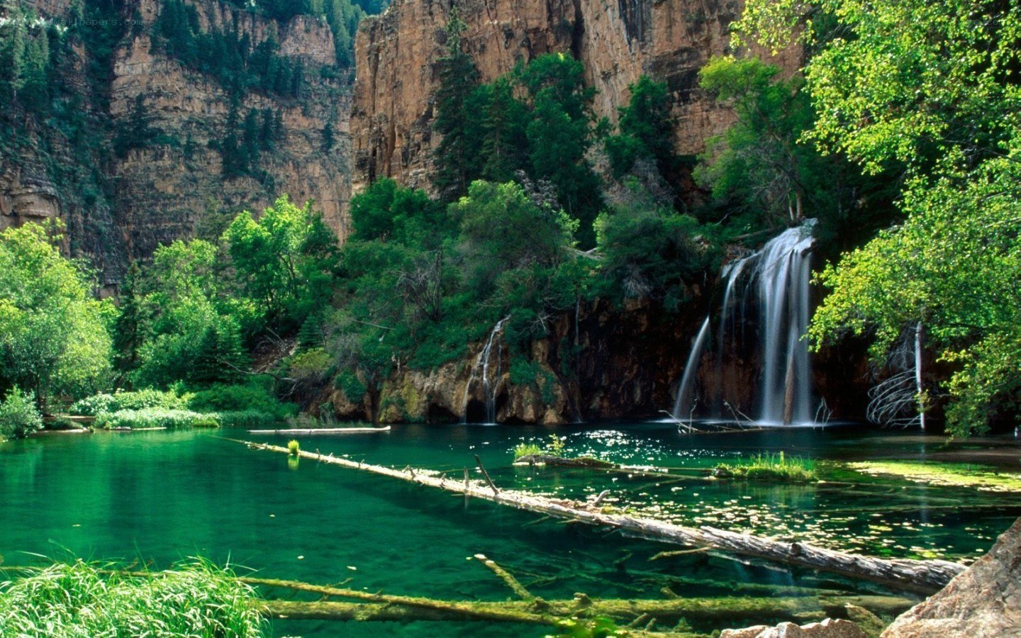 Waterfall in a forested canyon