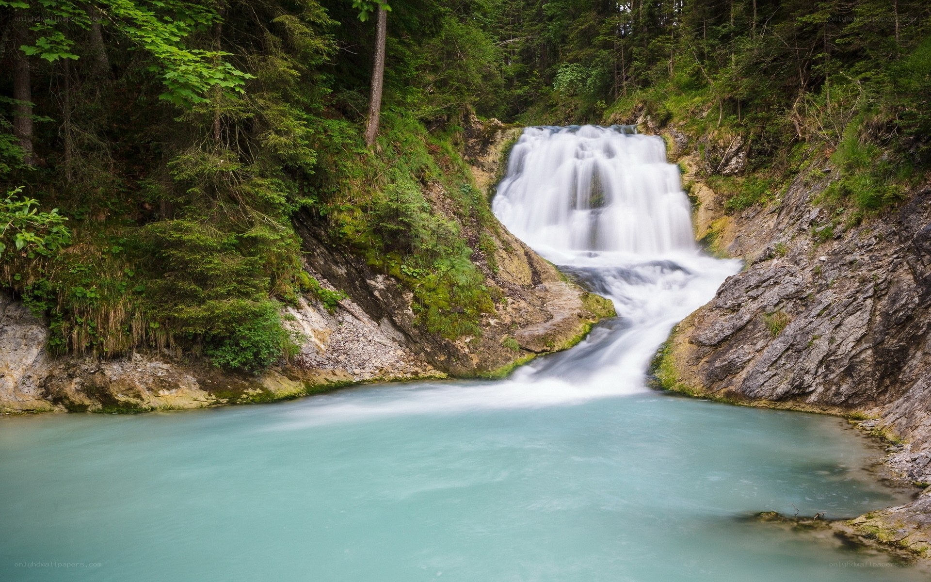 Waterfall in a forested canyon