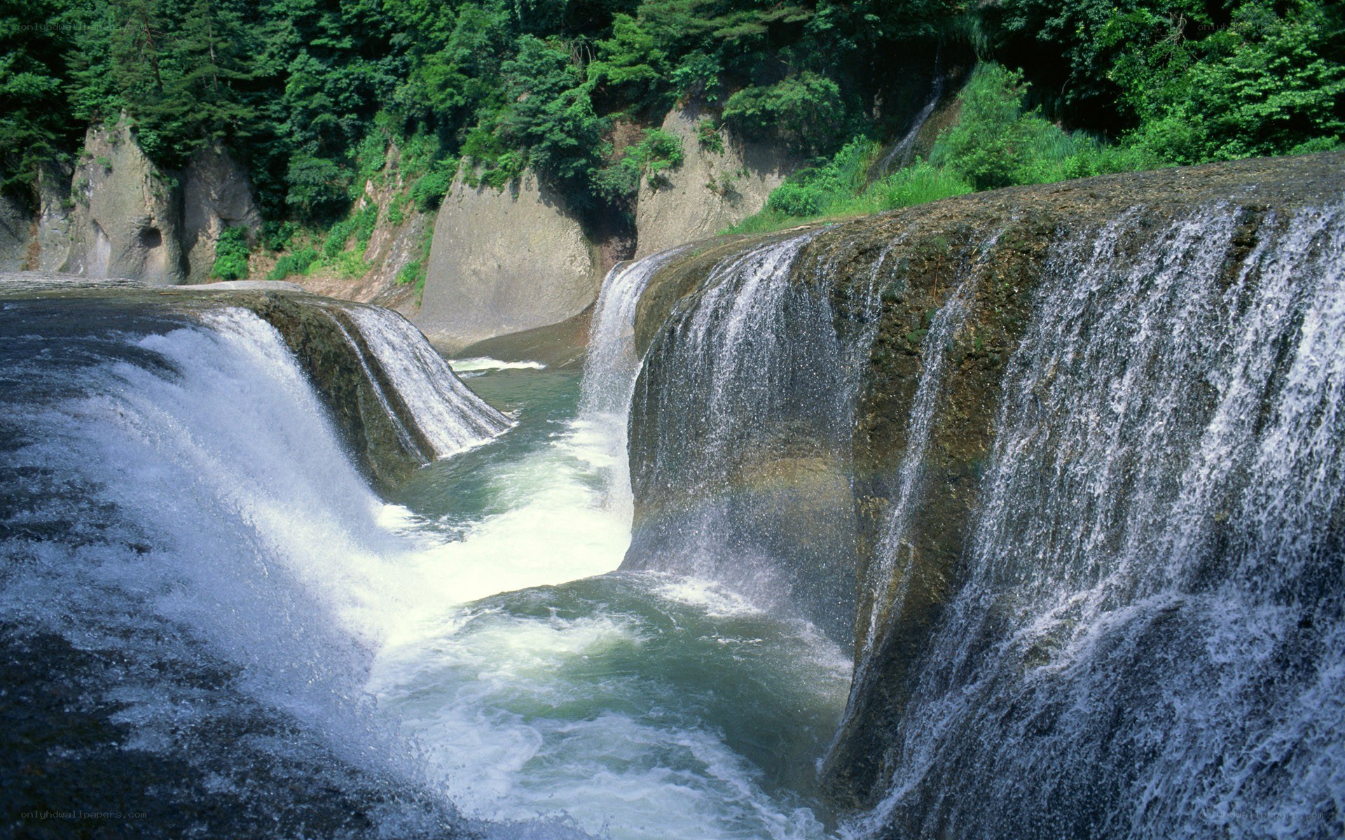 Waterfall in a forested canyon