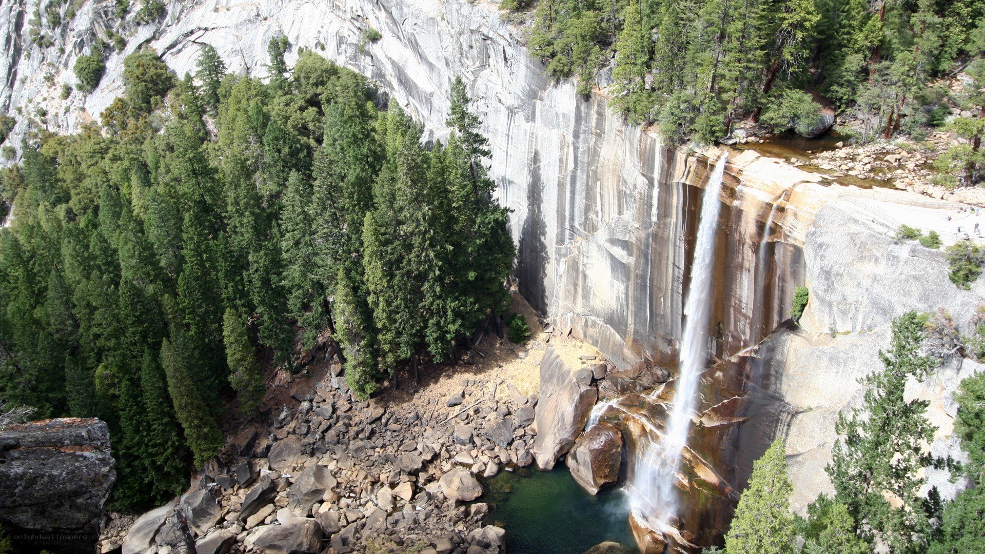 Waterfall in a forested canyon