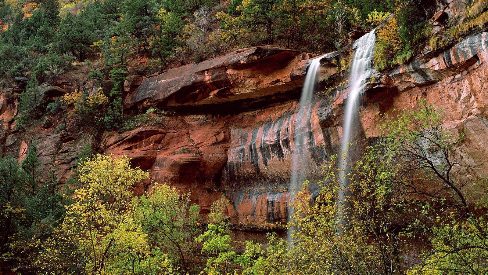 Waterfall in a forested canyon