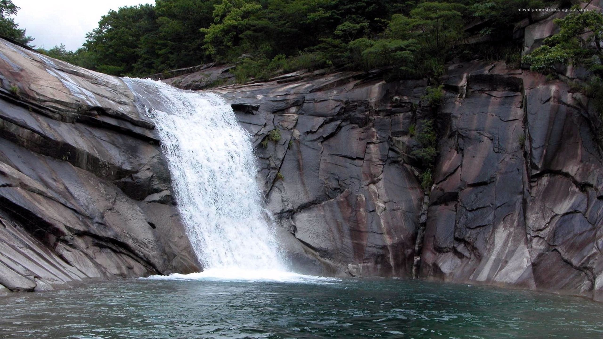 Waterfall in a forested canyon
