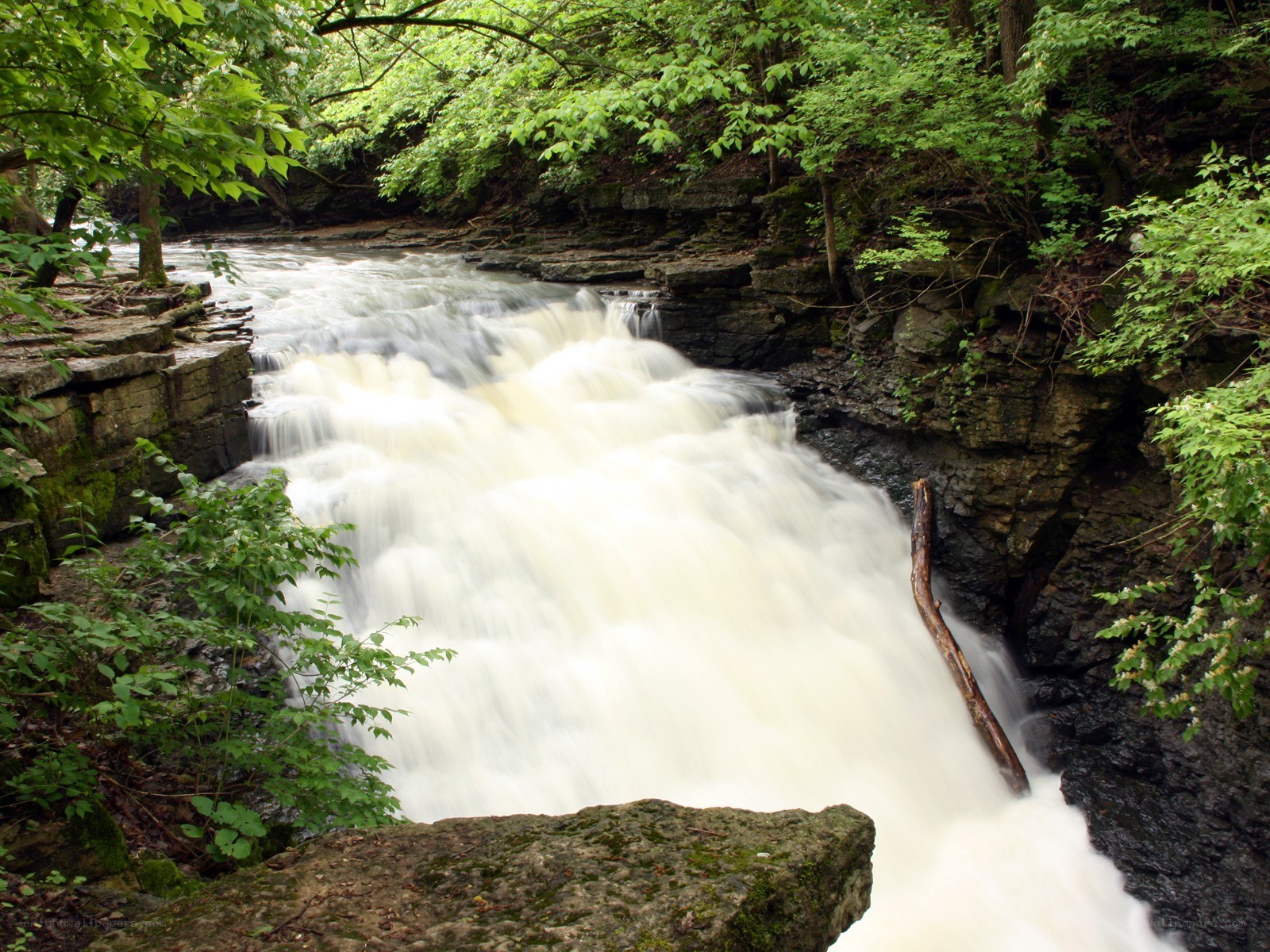 Waterfall in a forested canyon