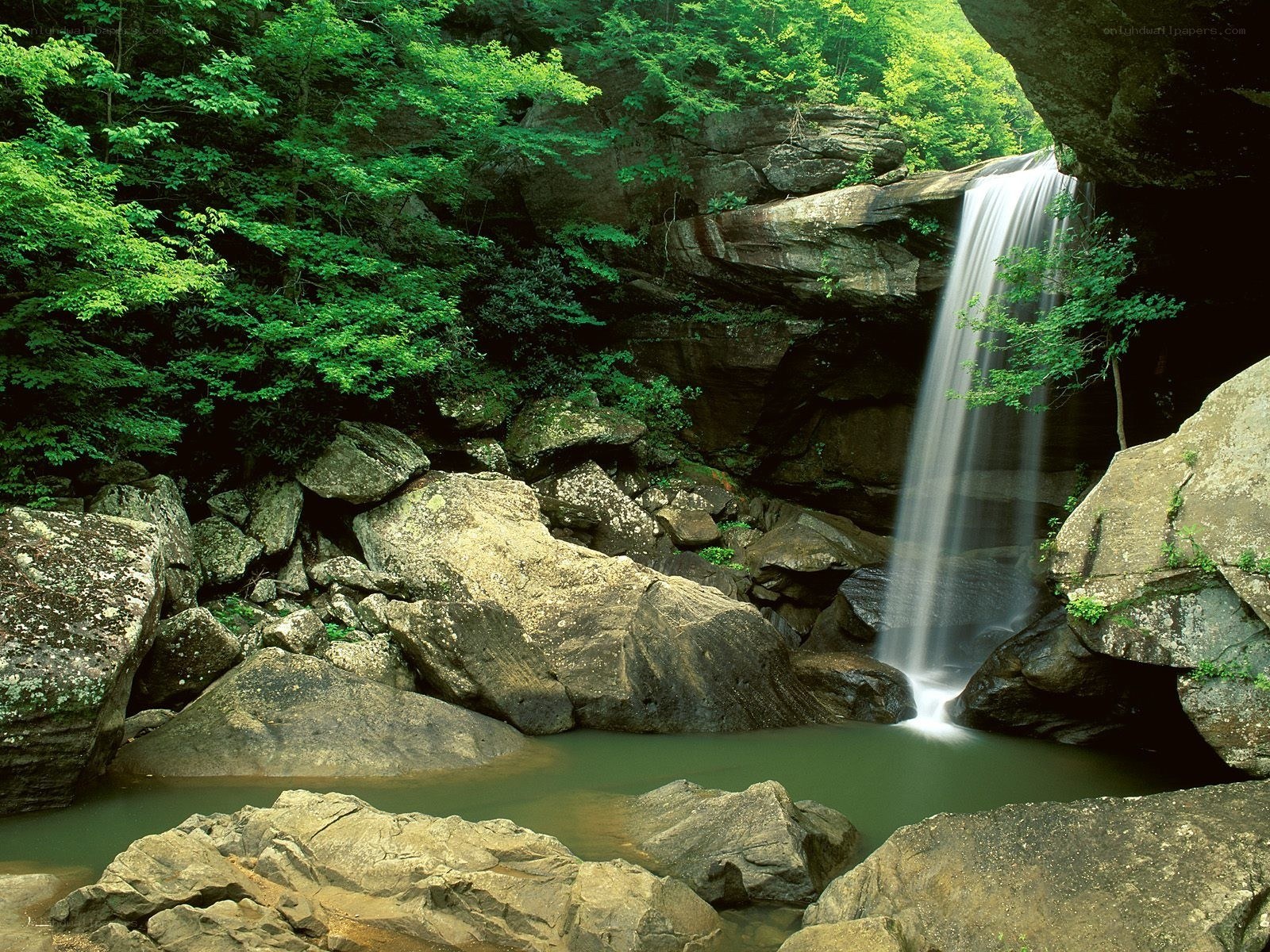 Waterfall in a forested canyon