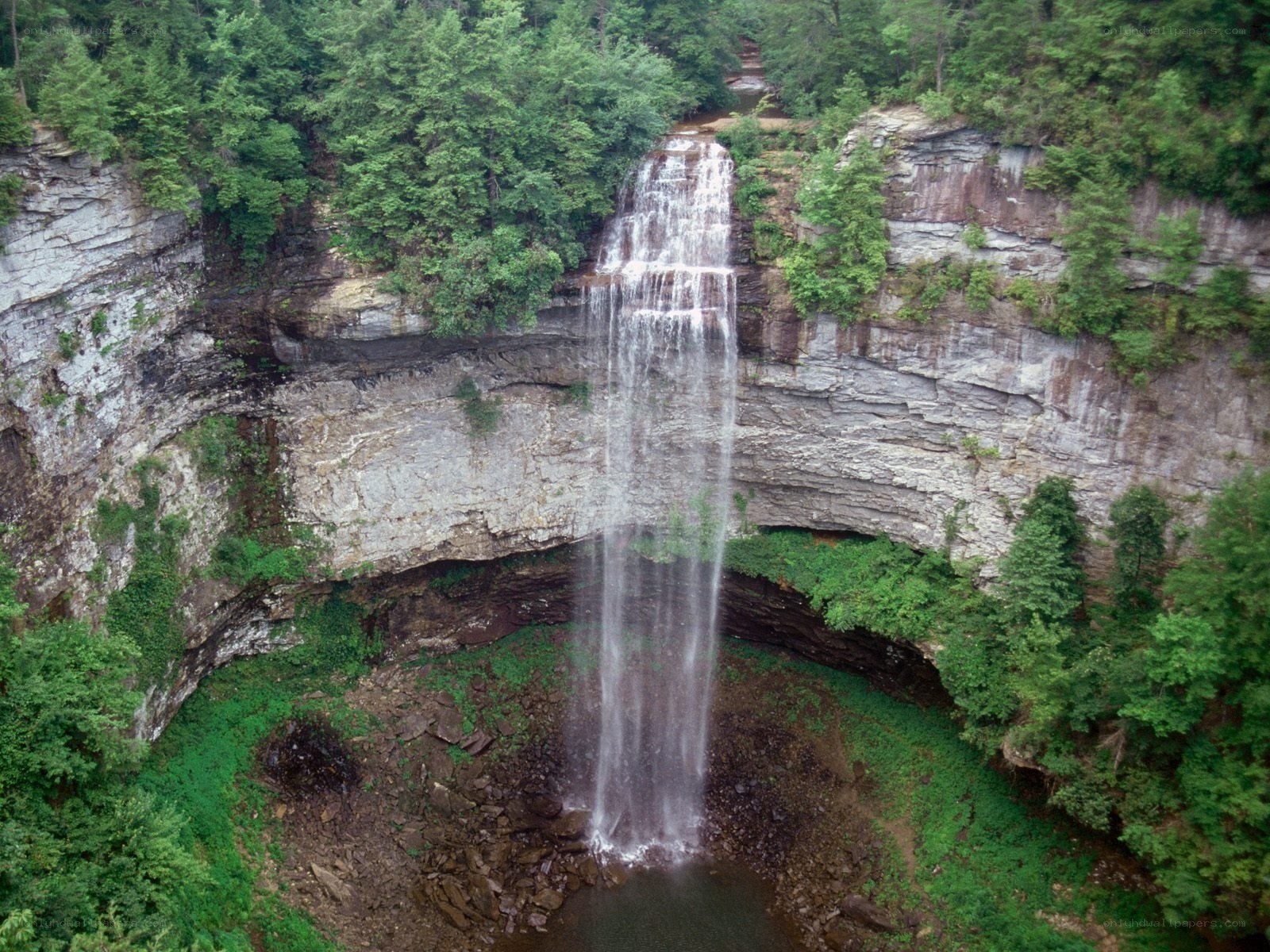 Waterfall in a forested canyon