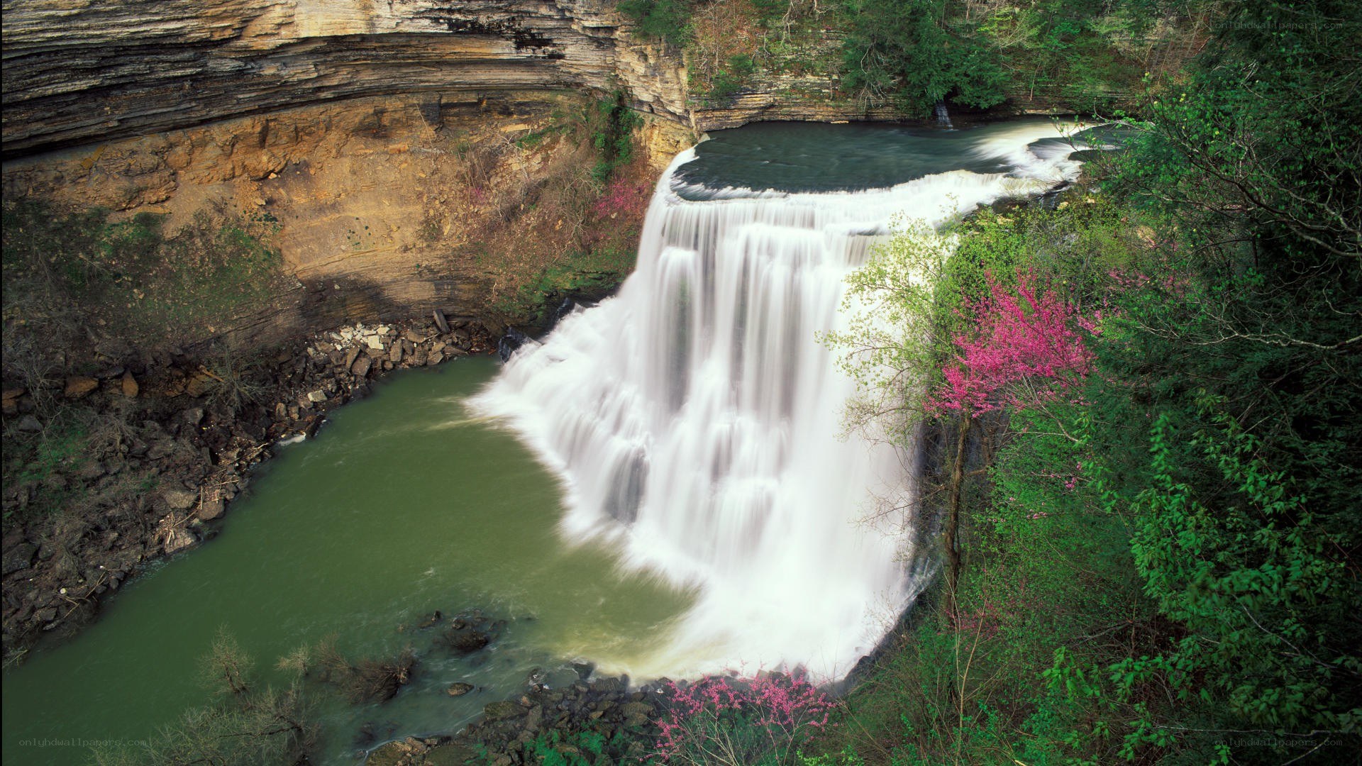 Waterfall in a forested canyon
