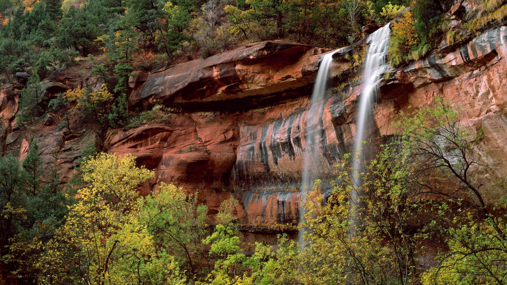 Waterfall in a forested canyon