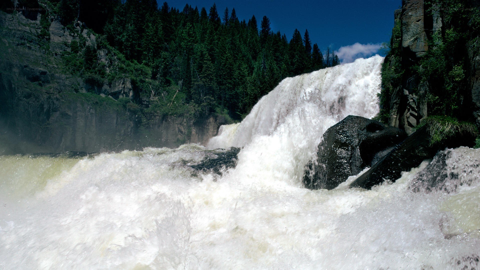 Waterfall in a forested canyon