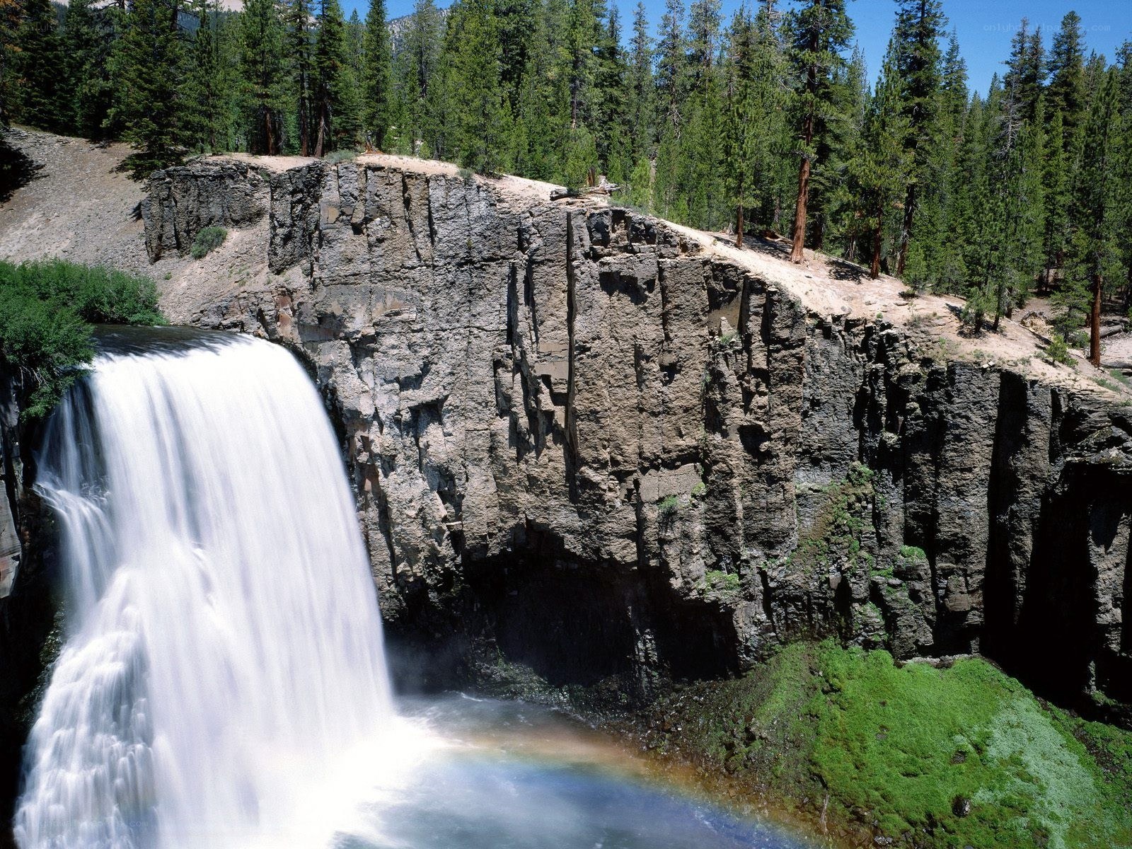 Waterfall in a forested canyon
