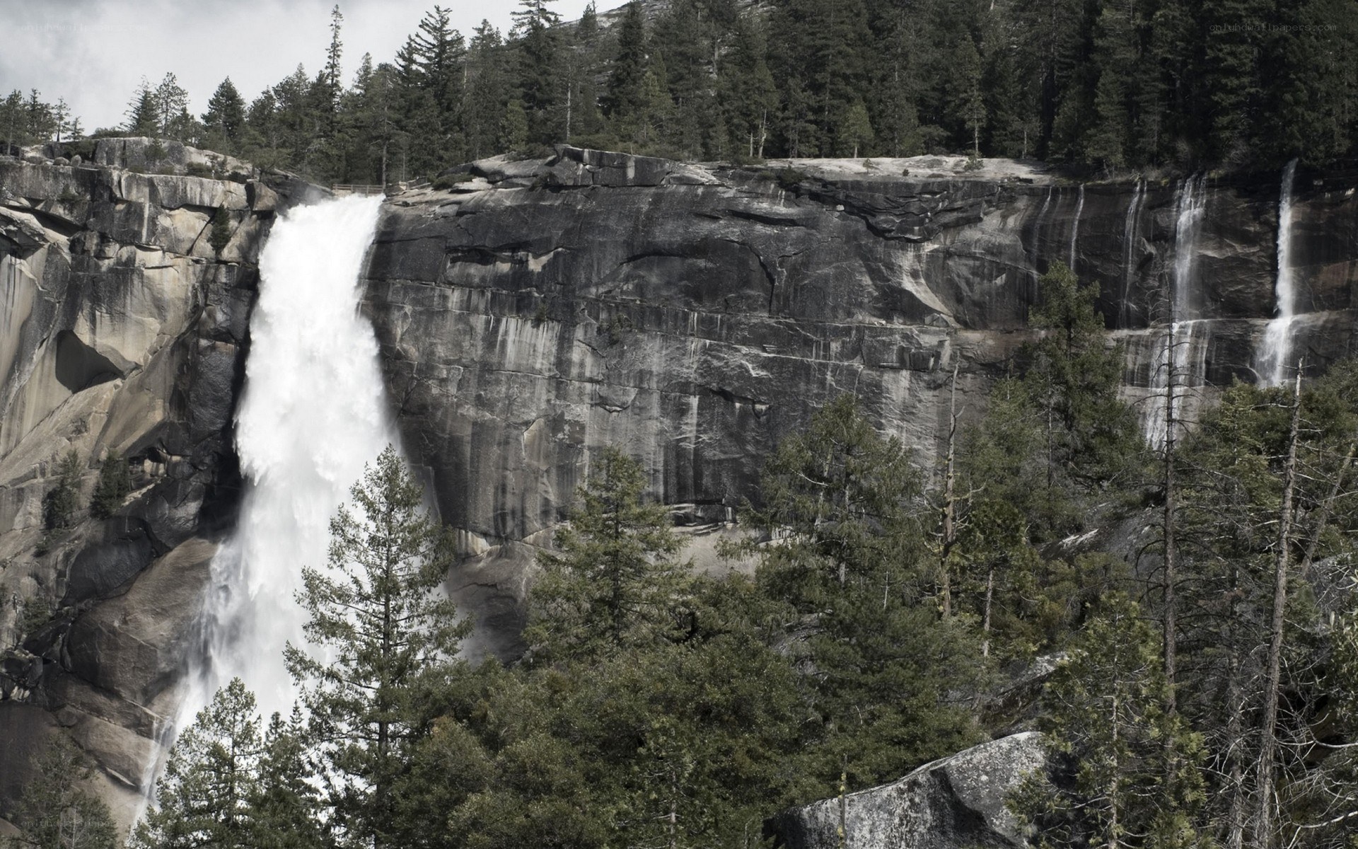 Waterfall in a forested canyon