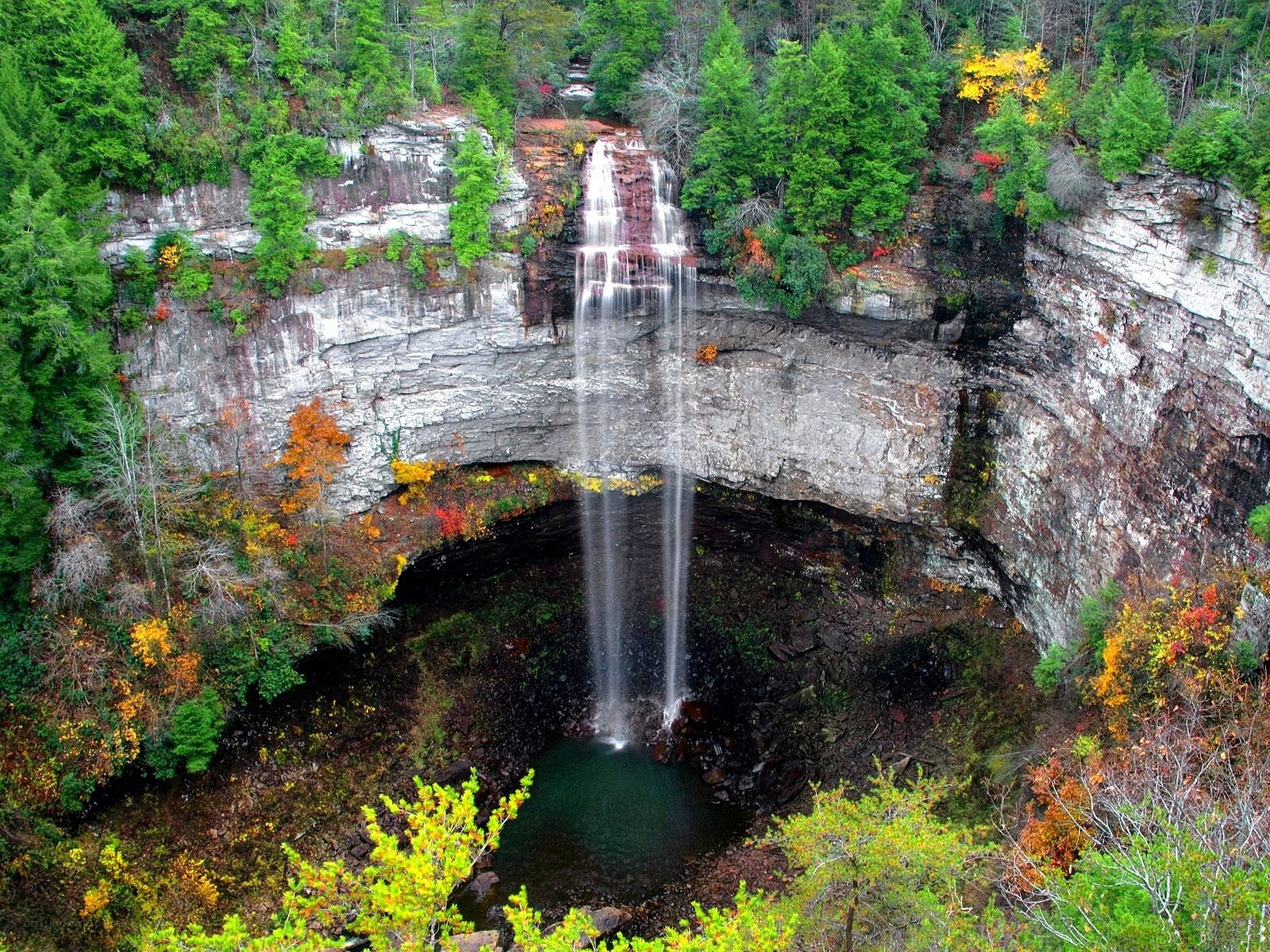 Waterfall in a forested canyon