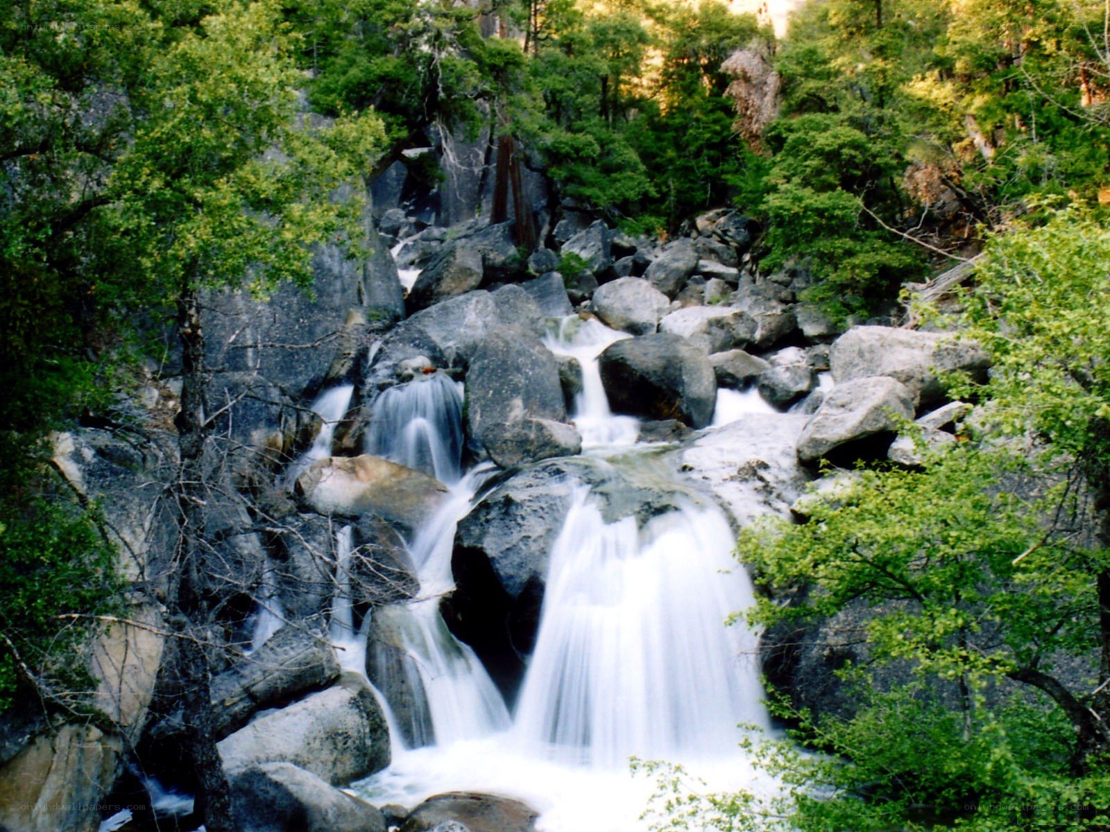 Waterfall in a forested canyon