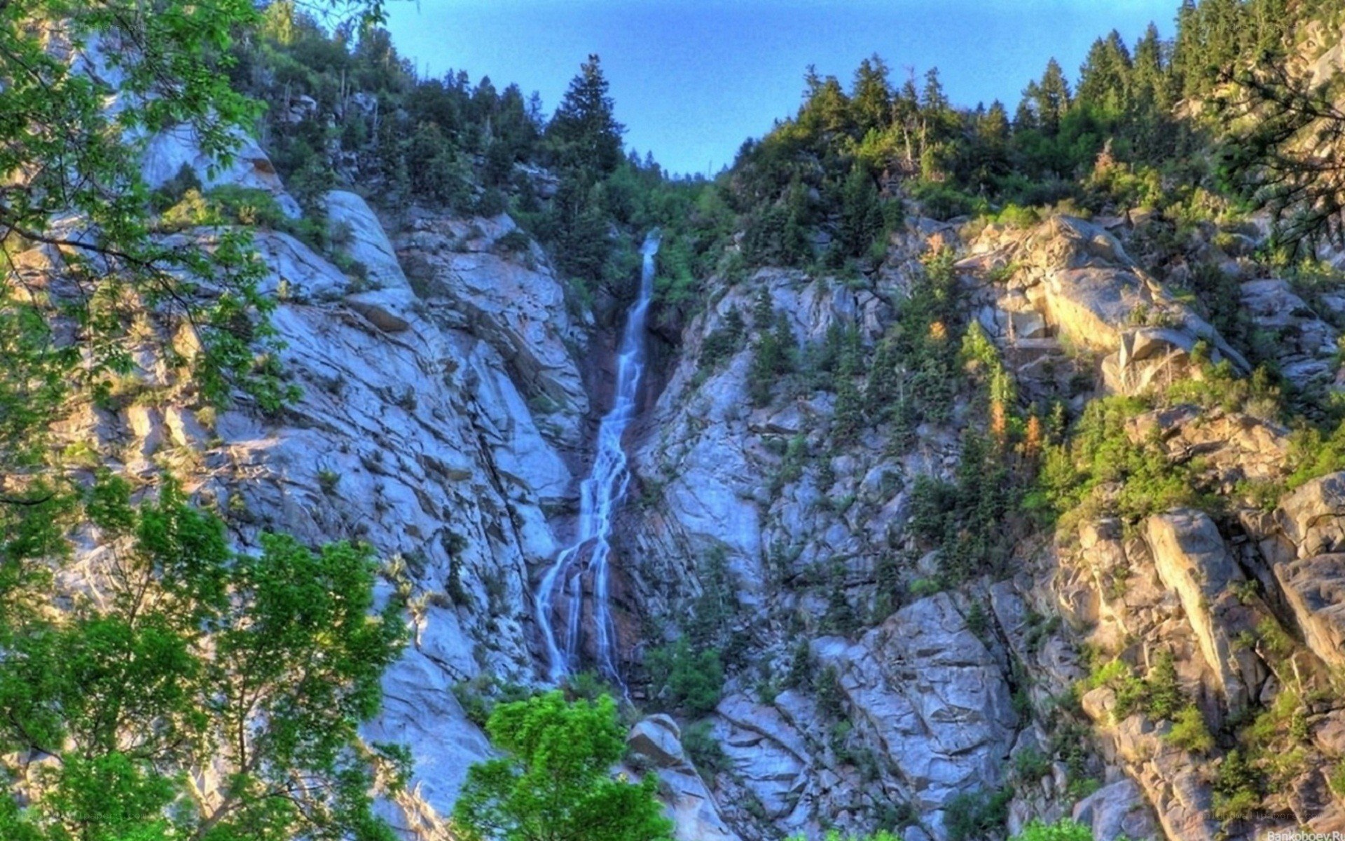Waterfall in a forested canyon