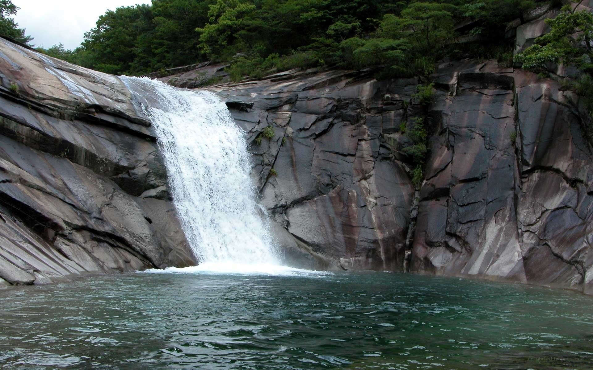 Waterfall in a forested canyon