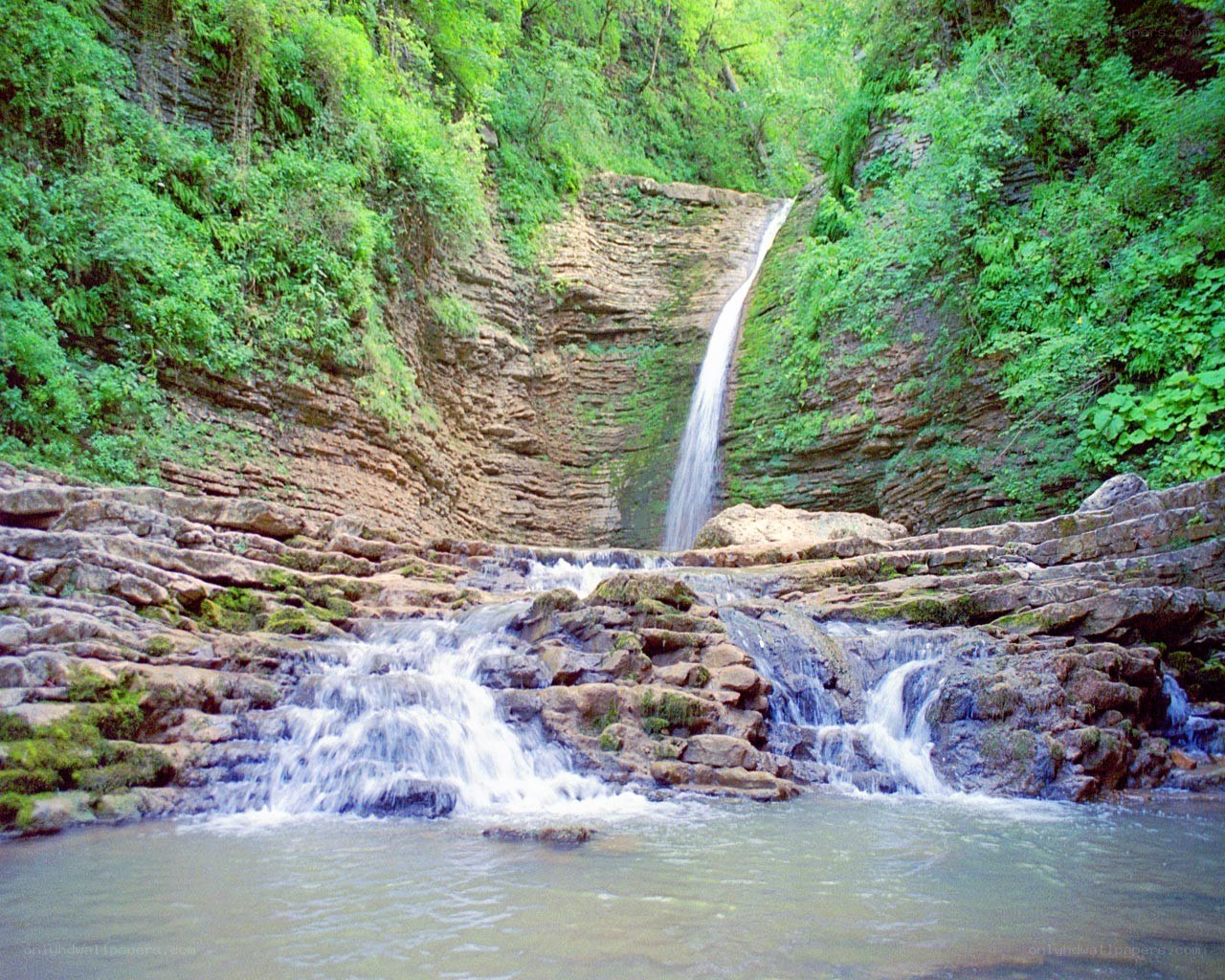 Waterfall in a forested canyon