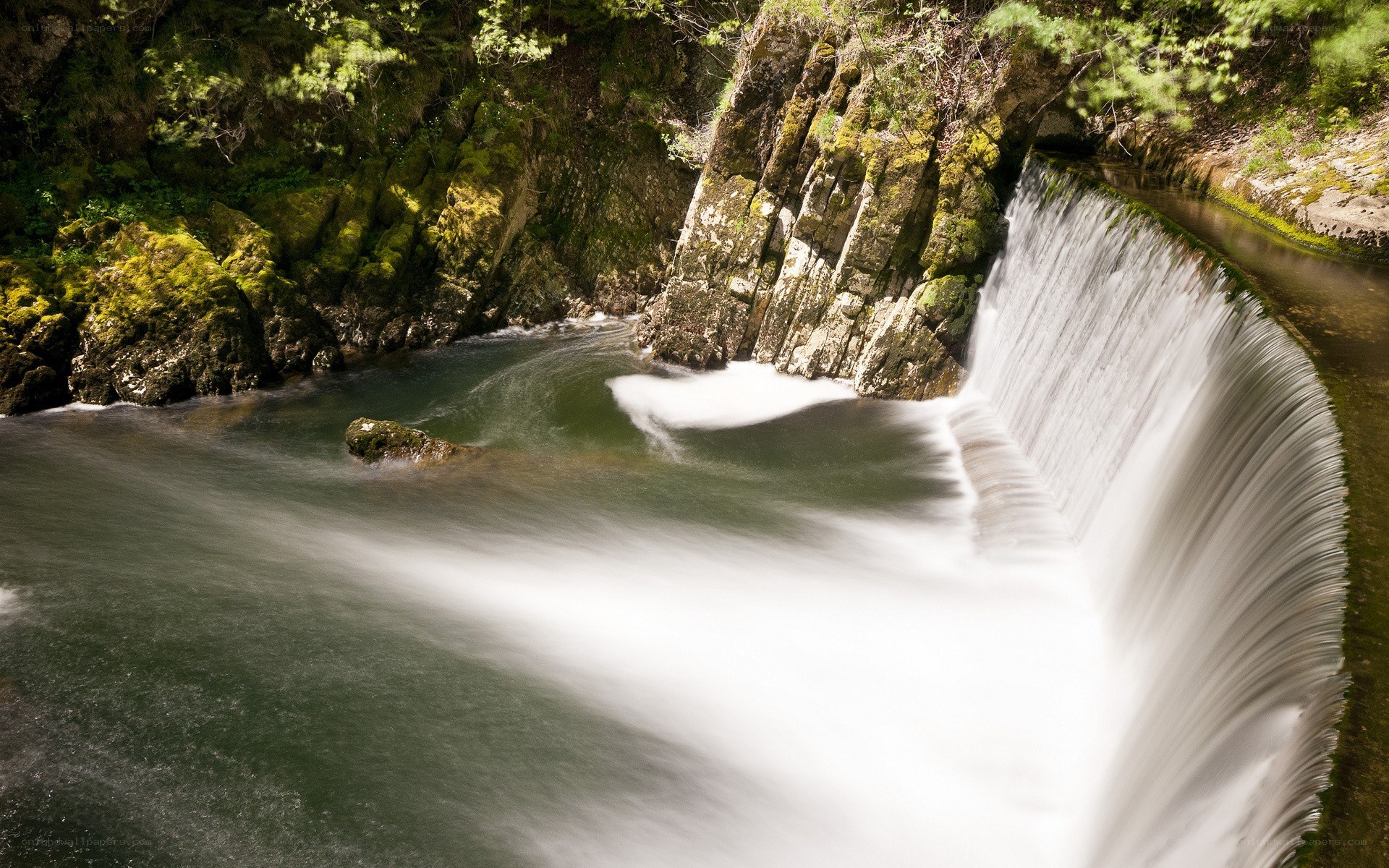 Waterfall in a forested canyon