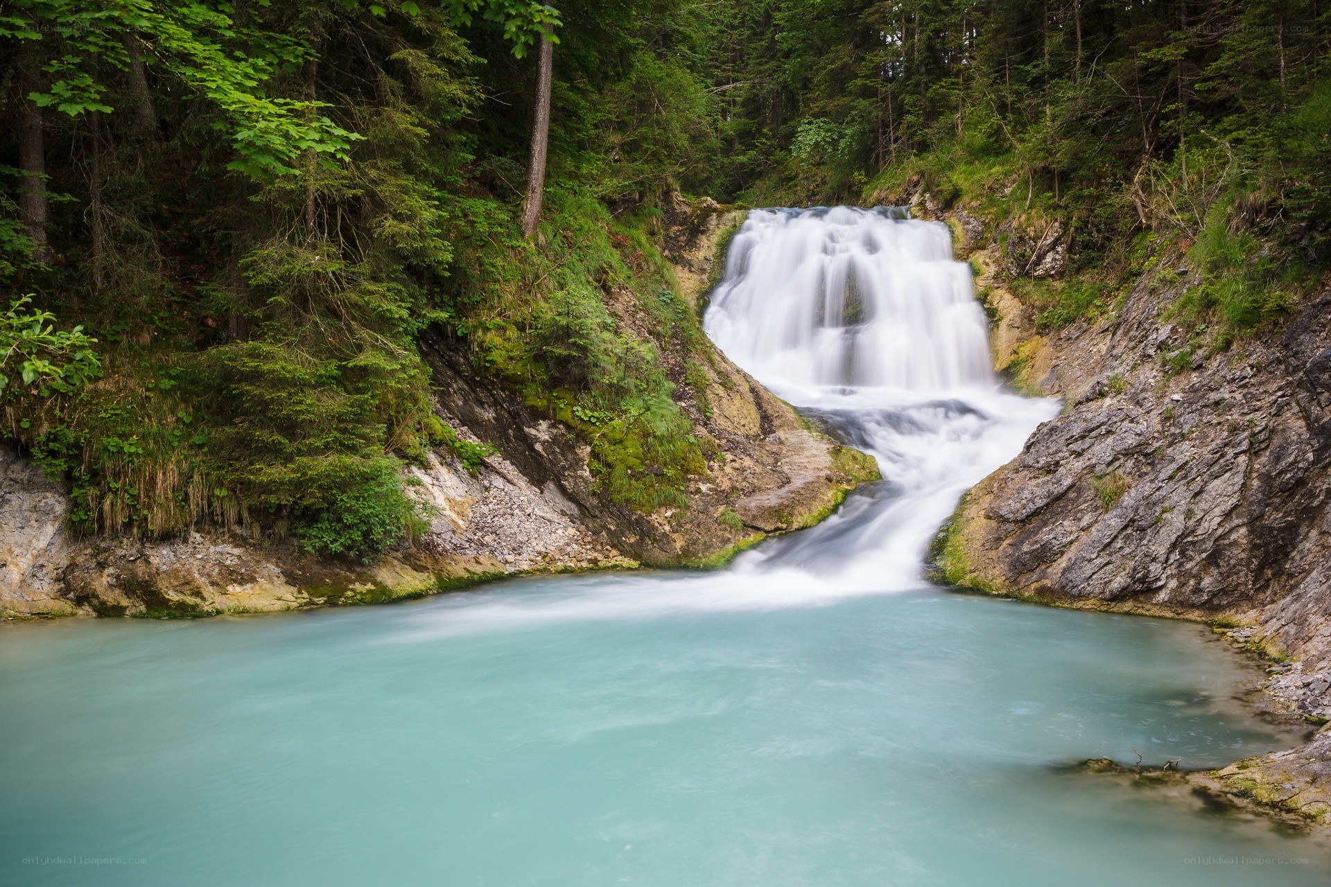 Waterfall in a forested canyon