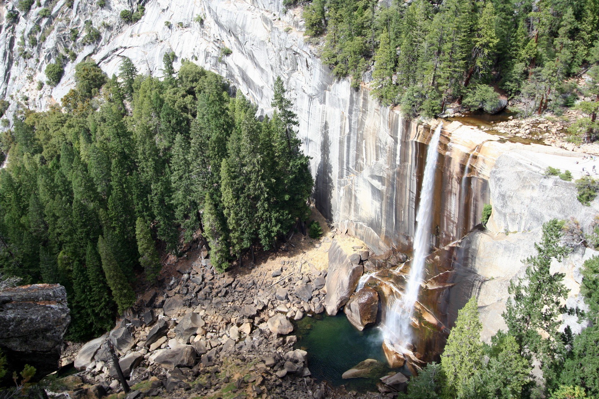 Waterfall in a forested canyon