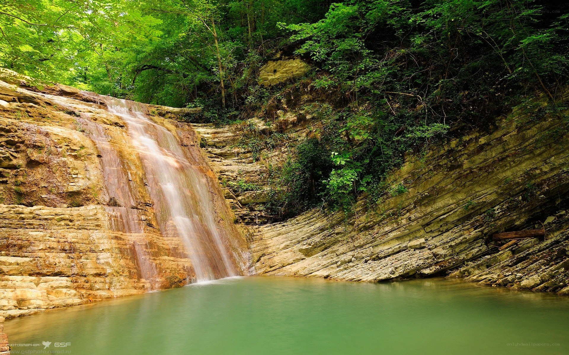 Waterfall in a forested canyon