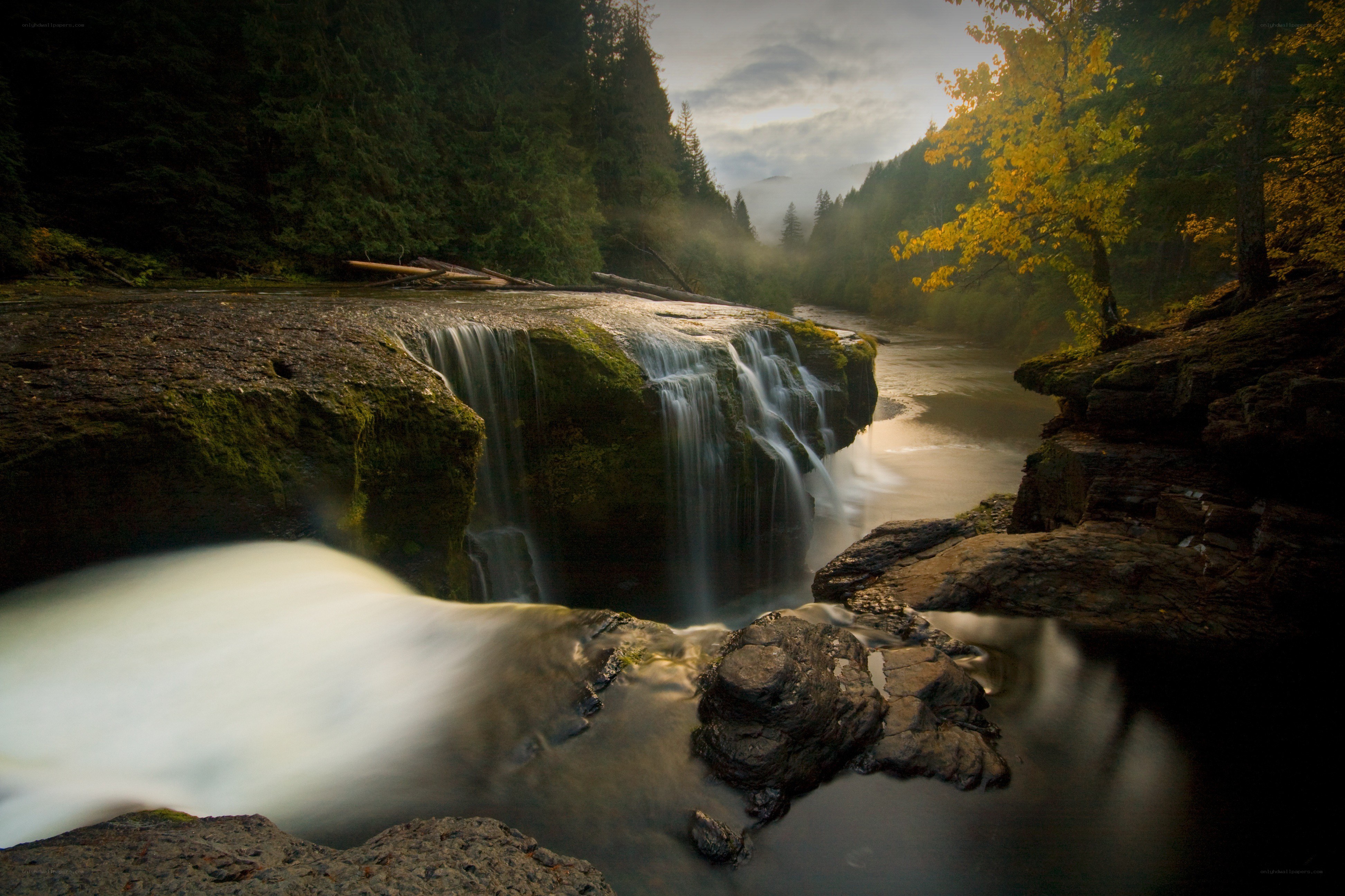 Waterfall in a forested canyon