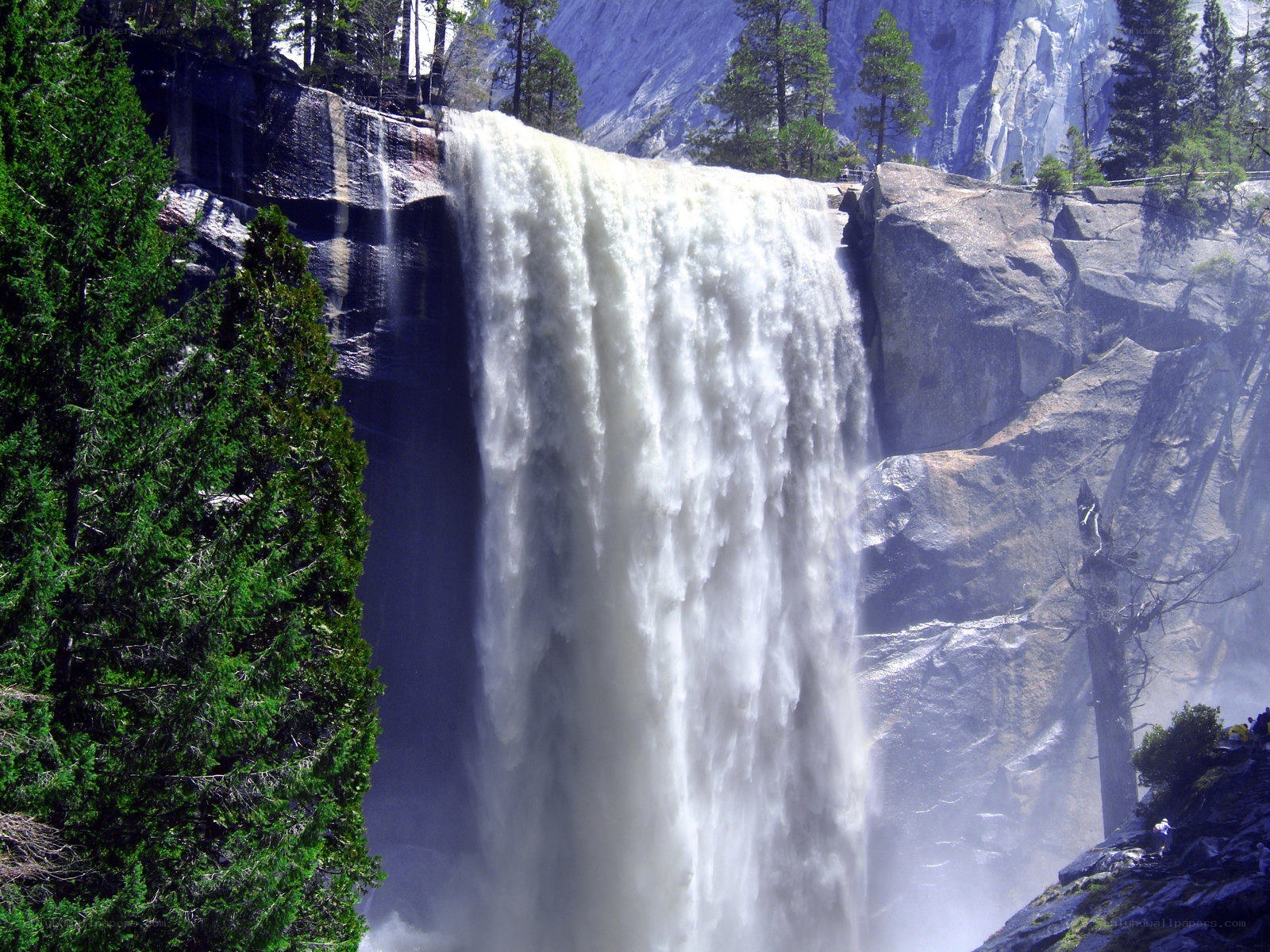 Waterfall in a forested canyon