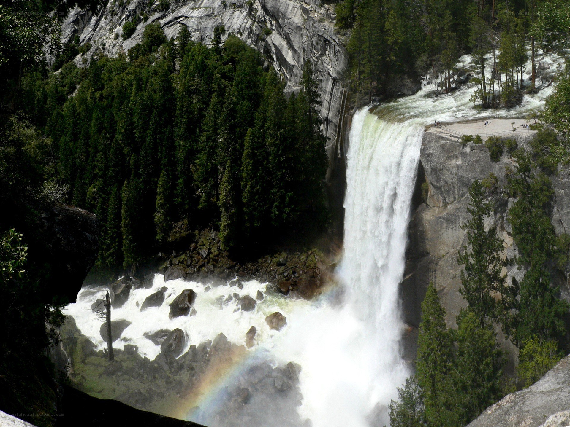 Waterfall in a forested canyon
