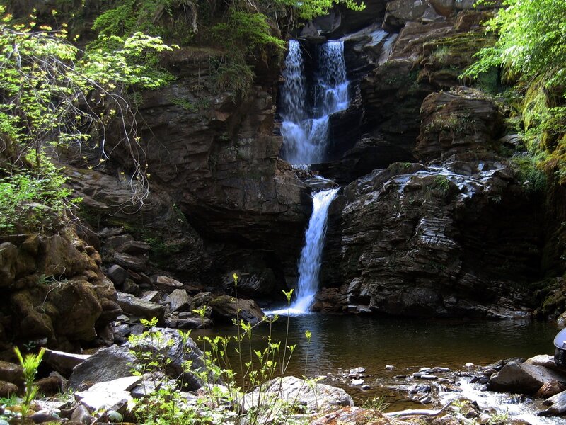 Waterfall in a forested canyon