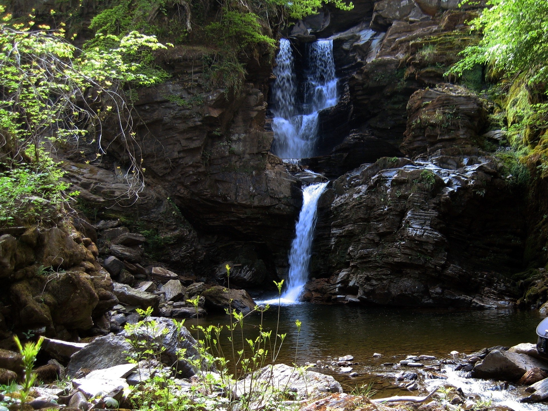Waterfall in a forested canyon