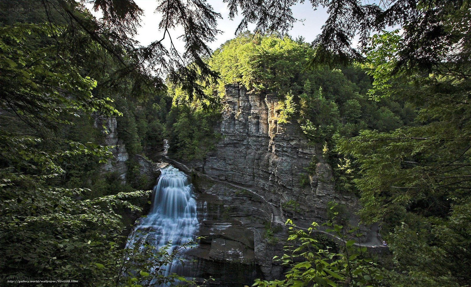 Waterfall in a forested canyon