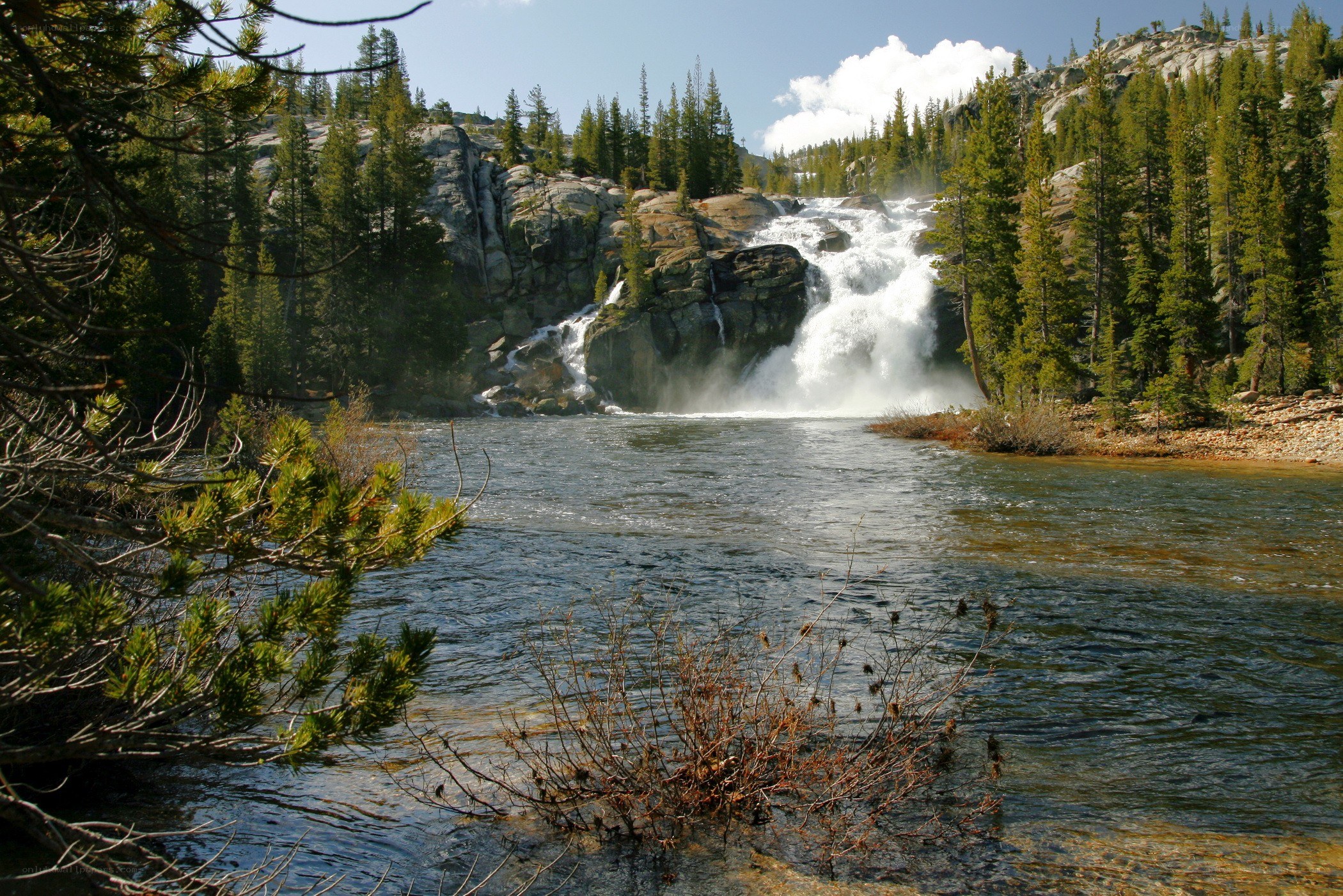 Waterfall in a forested canyon