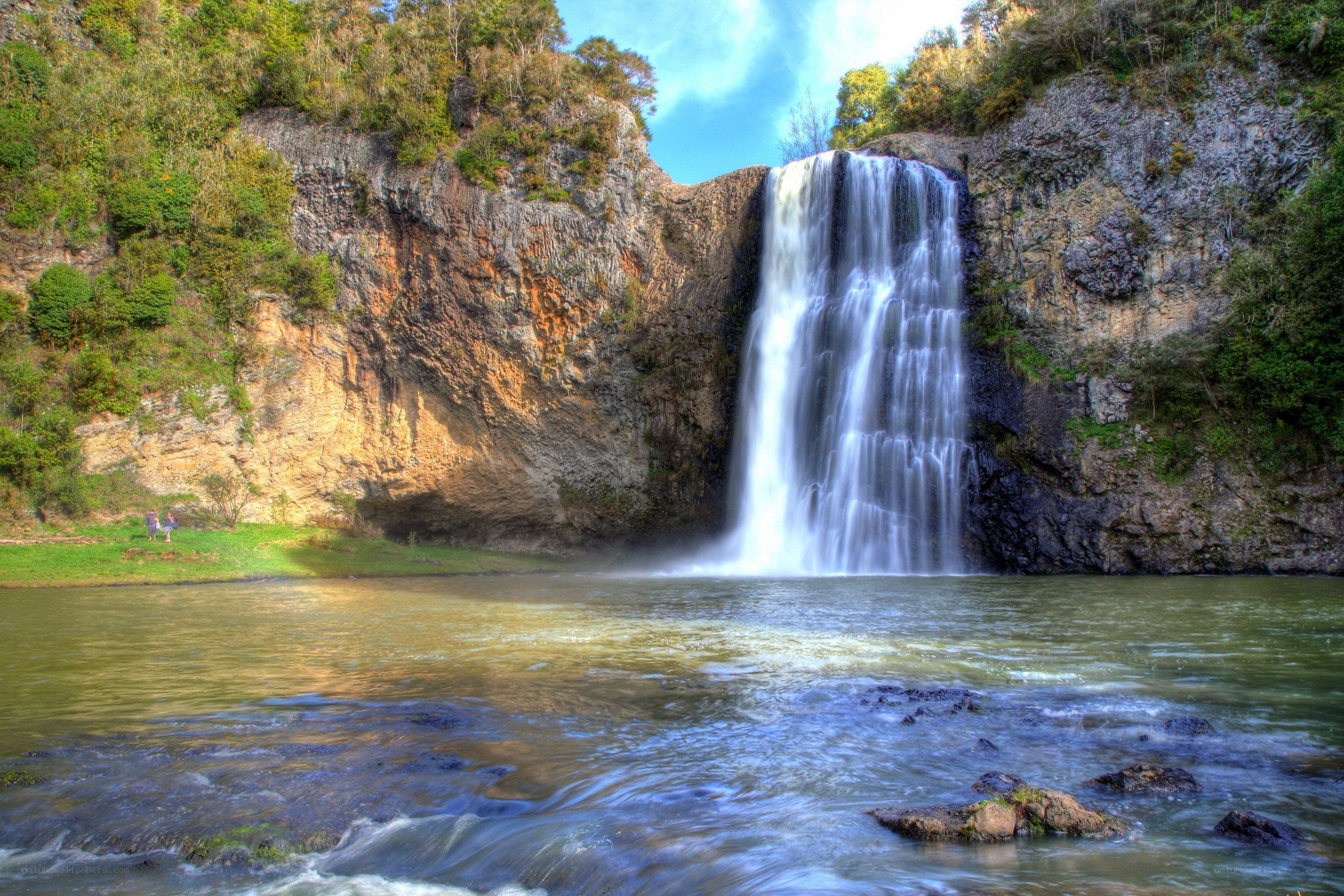 Waterfall in a forested canyon