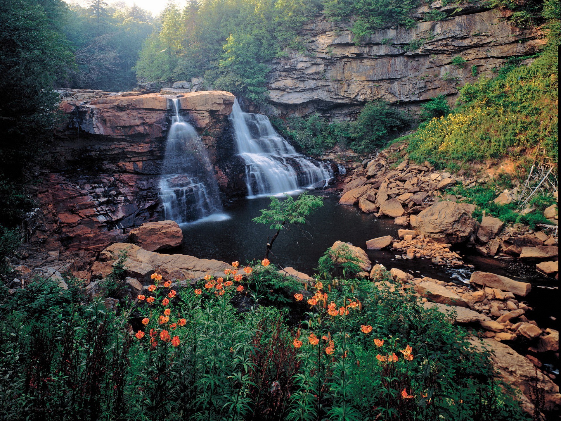 Waterfall in a forested canyon
