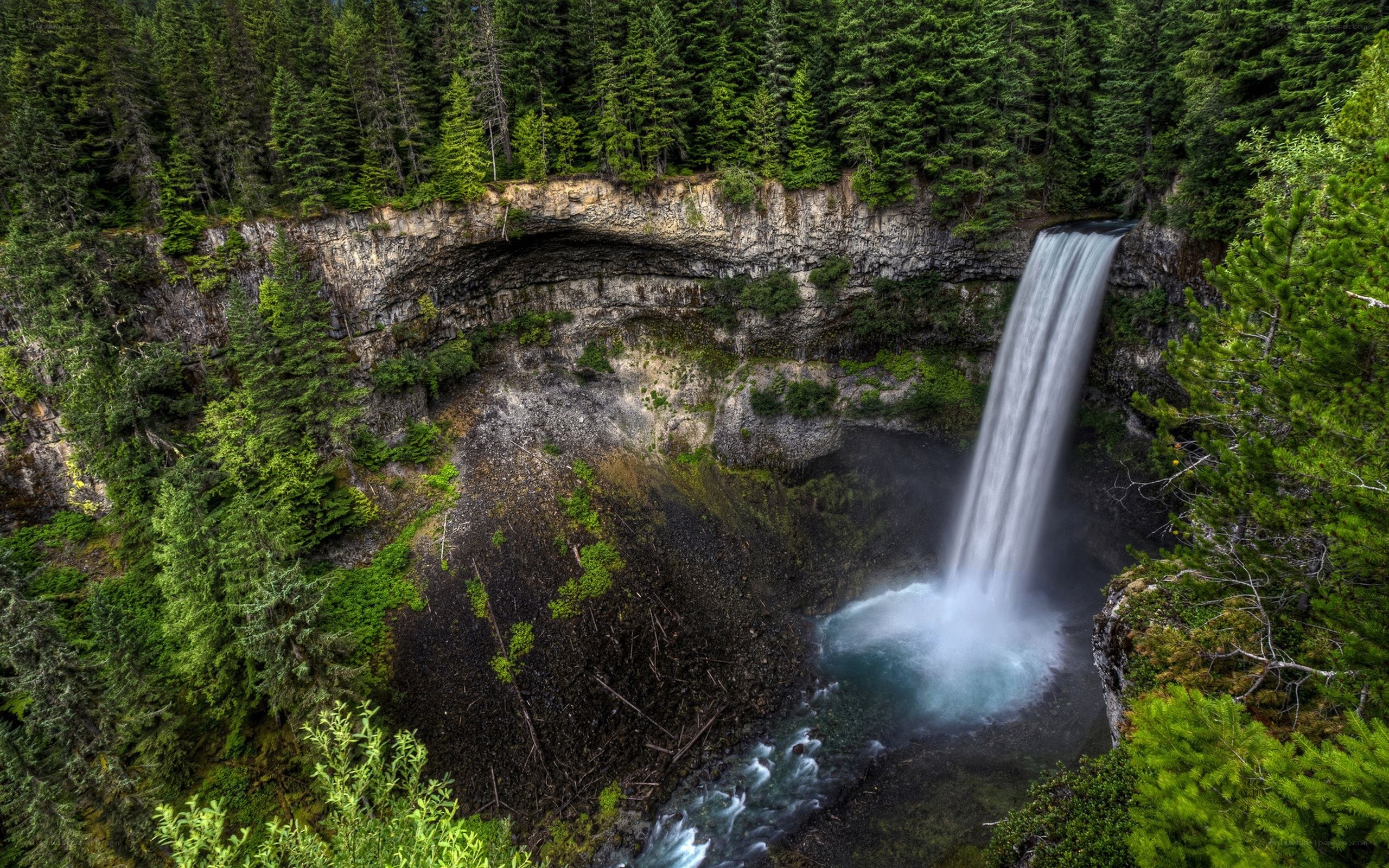 Waterfall in a forested canyon