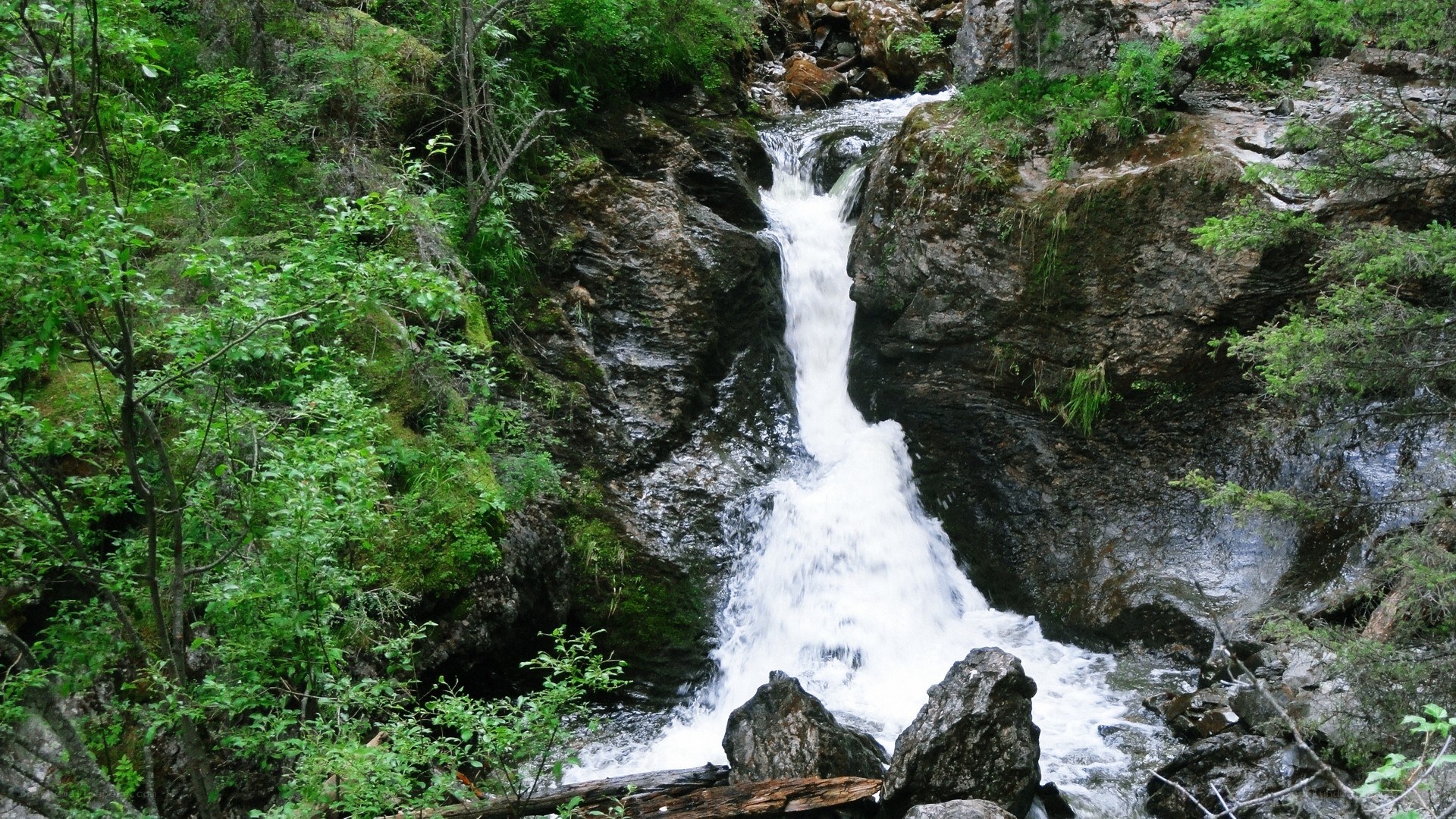 Waterfall in a forested canyon