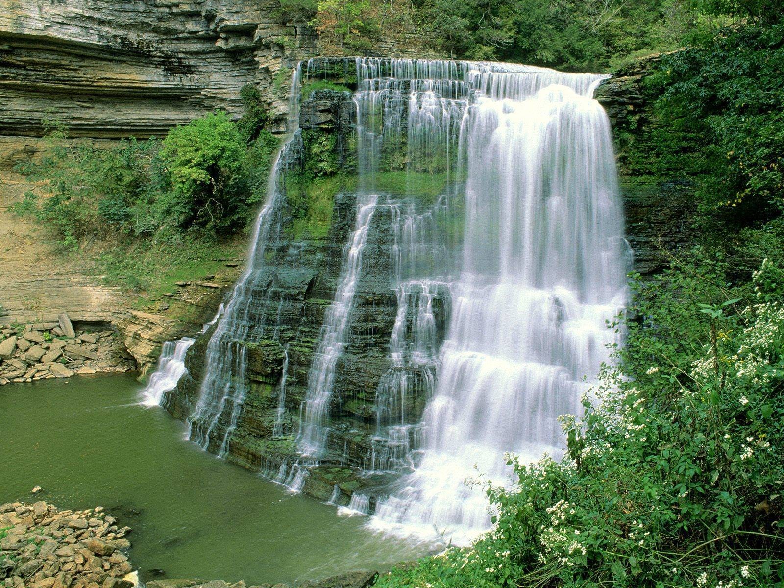 Waterfall in a forested canyon