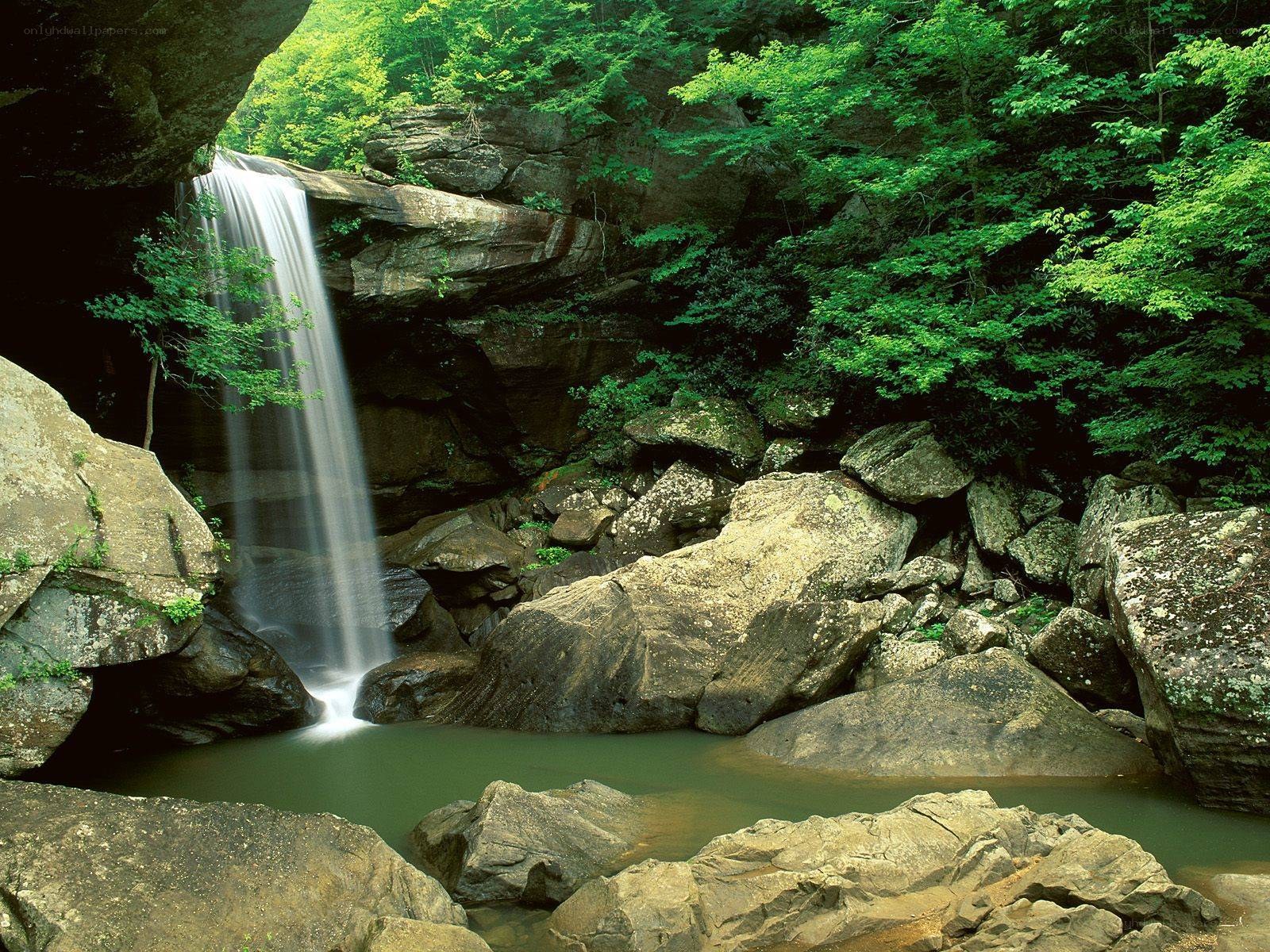 Waterfall in a forested canyon