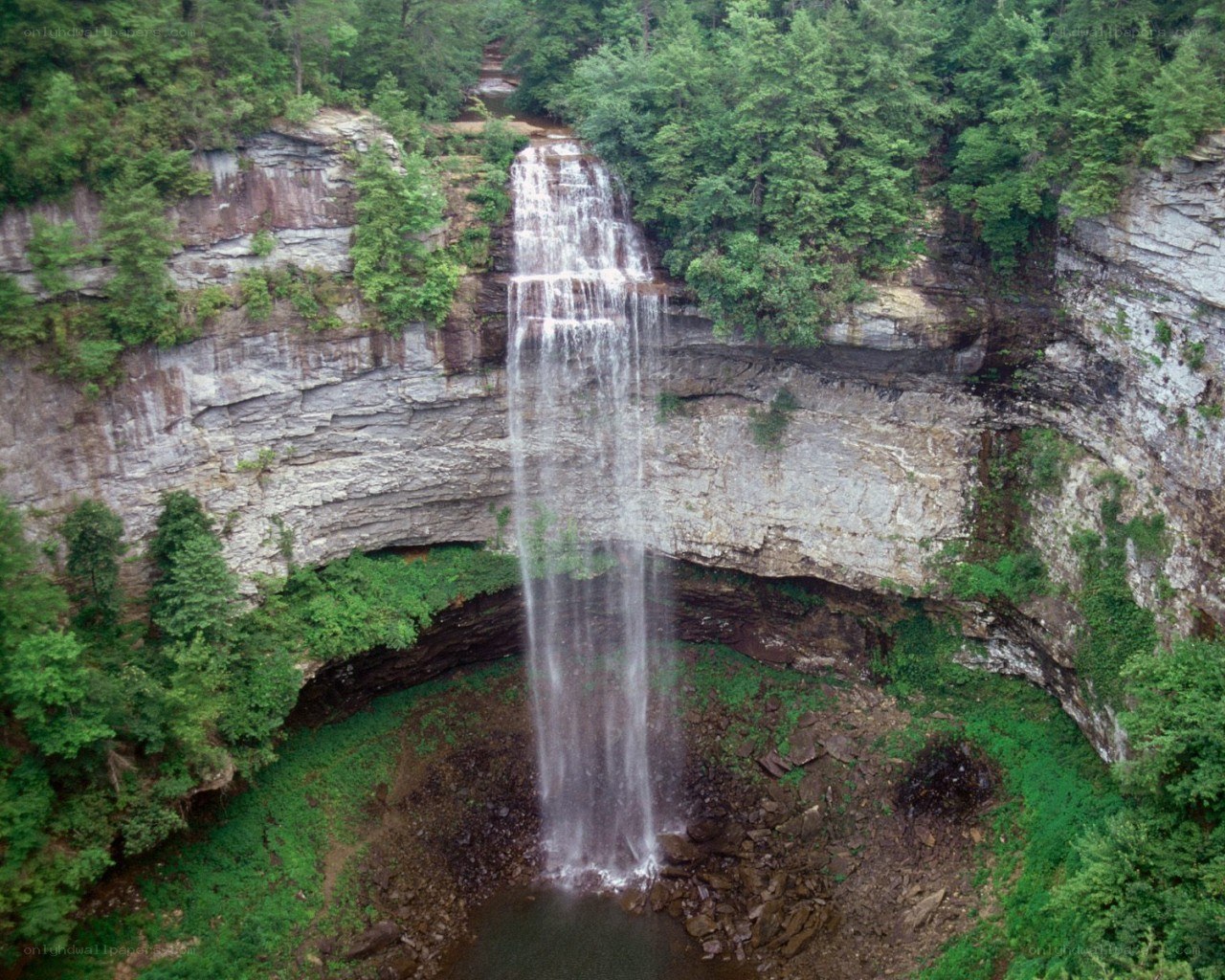 Waterfall in a forested canyon