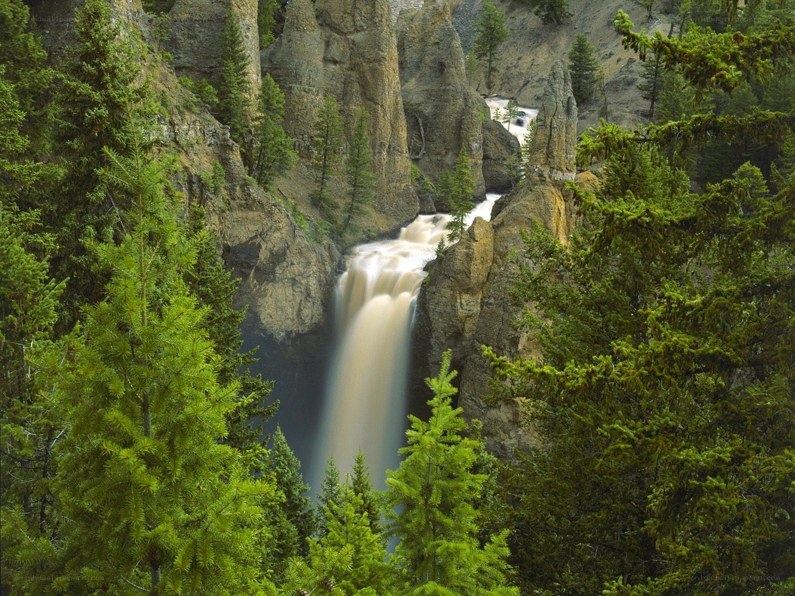 Waterfall in a forested canyon