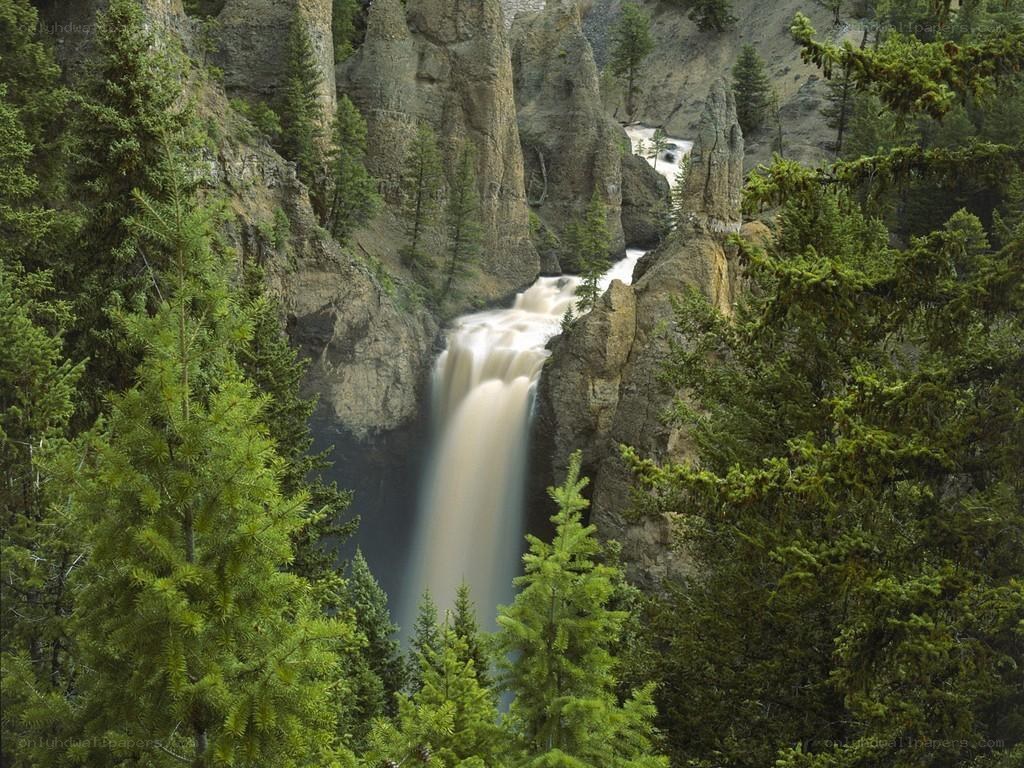 Waterfall in a forested canyon