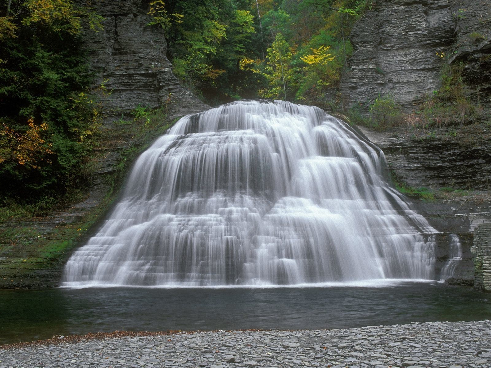 Waterfall in a forested canyon