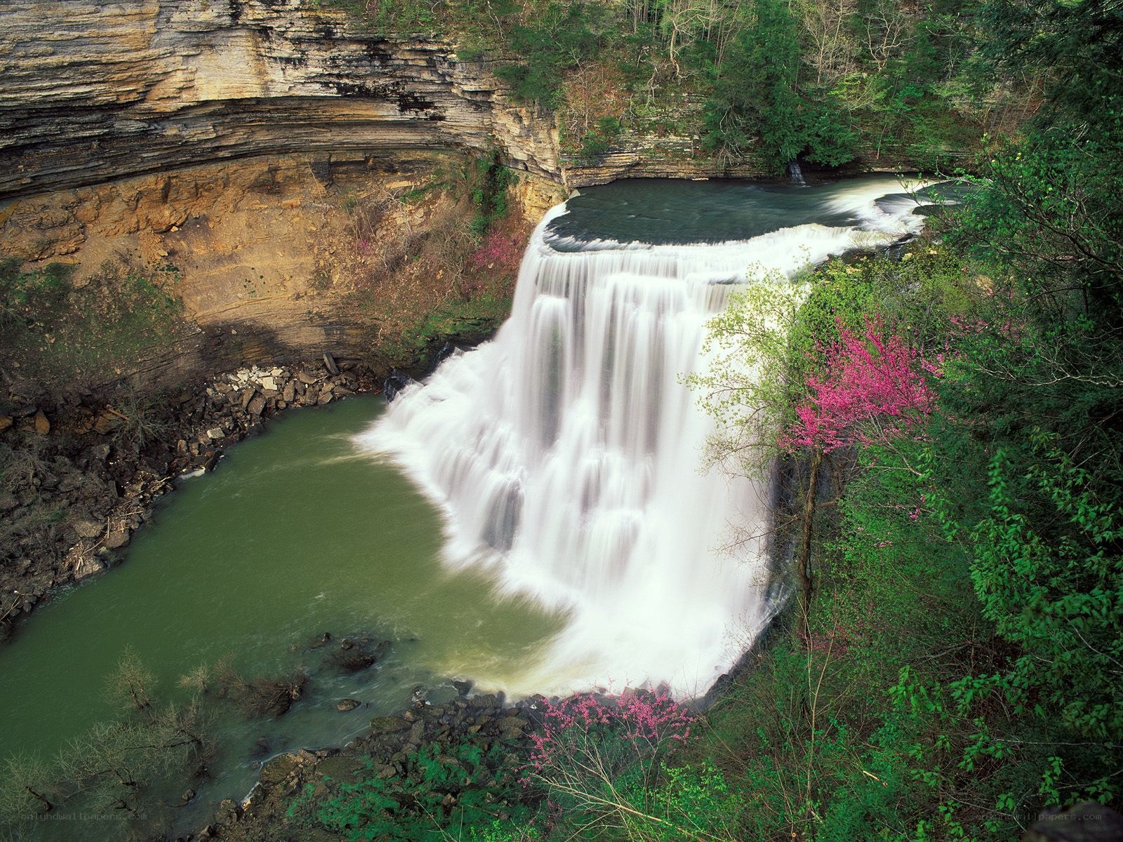 Waterfall in a forested canyon