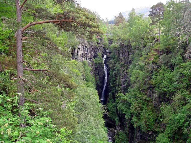 Waterfall in a forested gorge