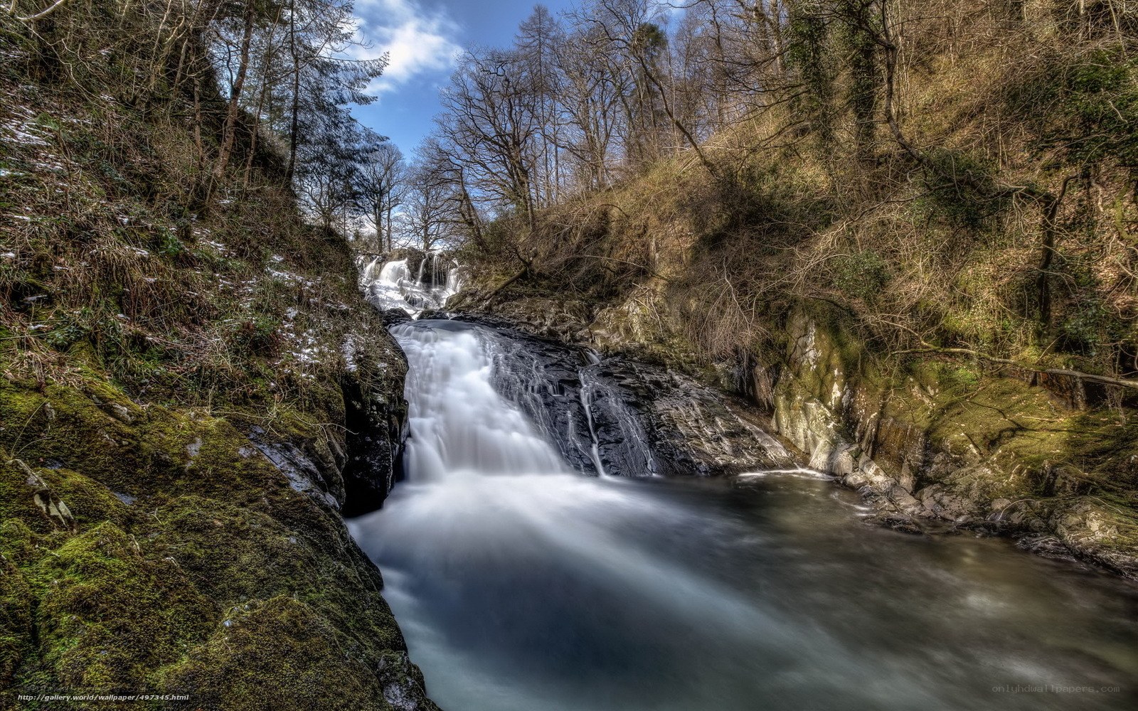 Waterfall in a forested gorge