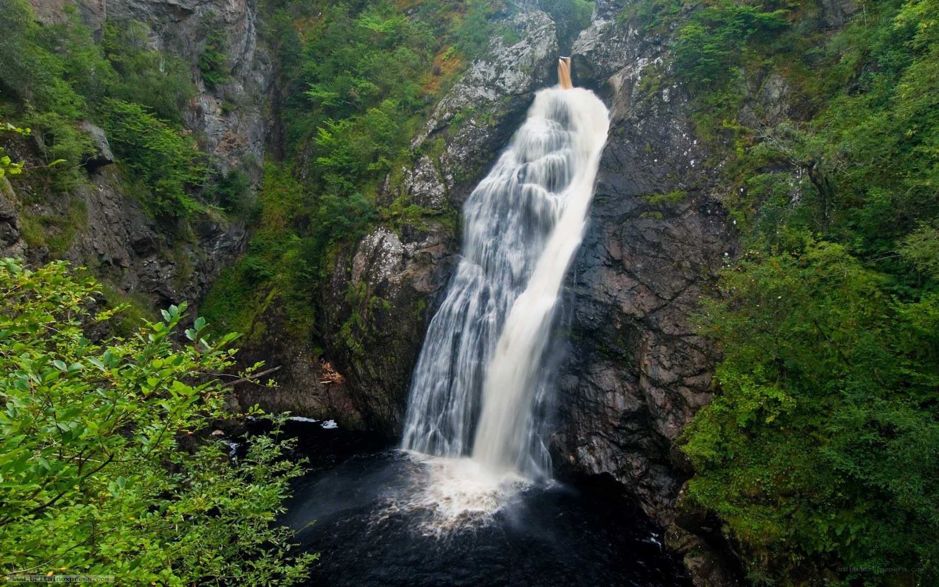 Waterfall in a forested gorge