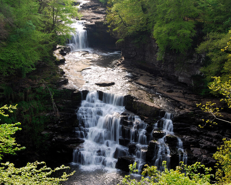 Waterfall in a forested gorge